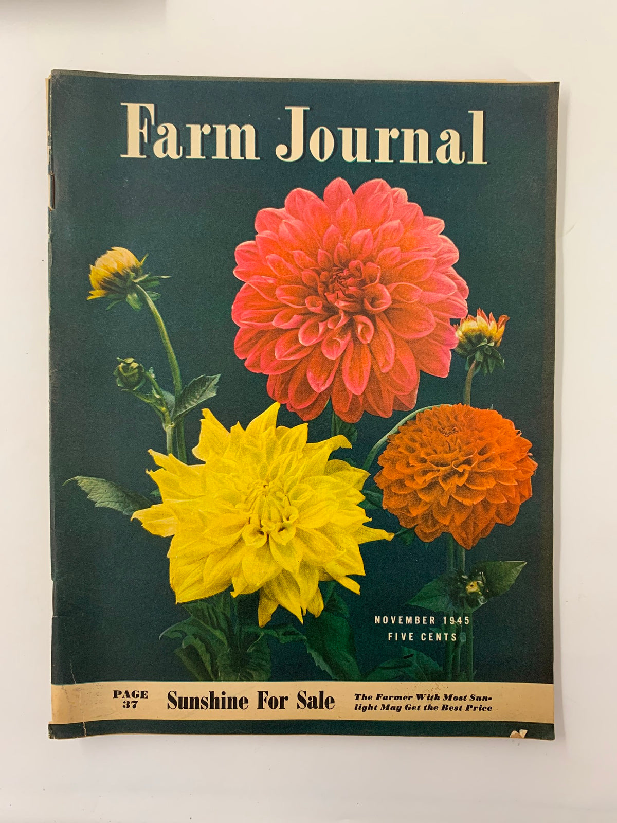 Cover of VTG Farm Journal Magazine November 1945 featuring vibrant flowers, including pink, red, and yellow dahlias, with the text 'Sunshine For Sale' and 'The Farmer With Most Sunlight May Get the Best Price'.