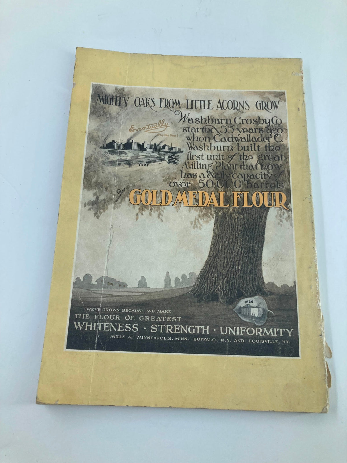 Vintage advertisement for Gold Medal Flour from the early 20th century, included in VTG The National Geographic Magazine June 1921 The Grand Canyon Bridge No Label.