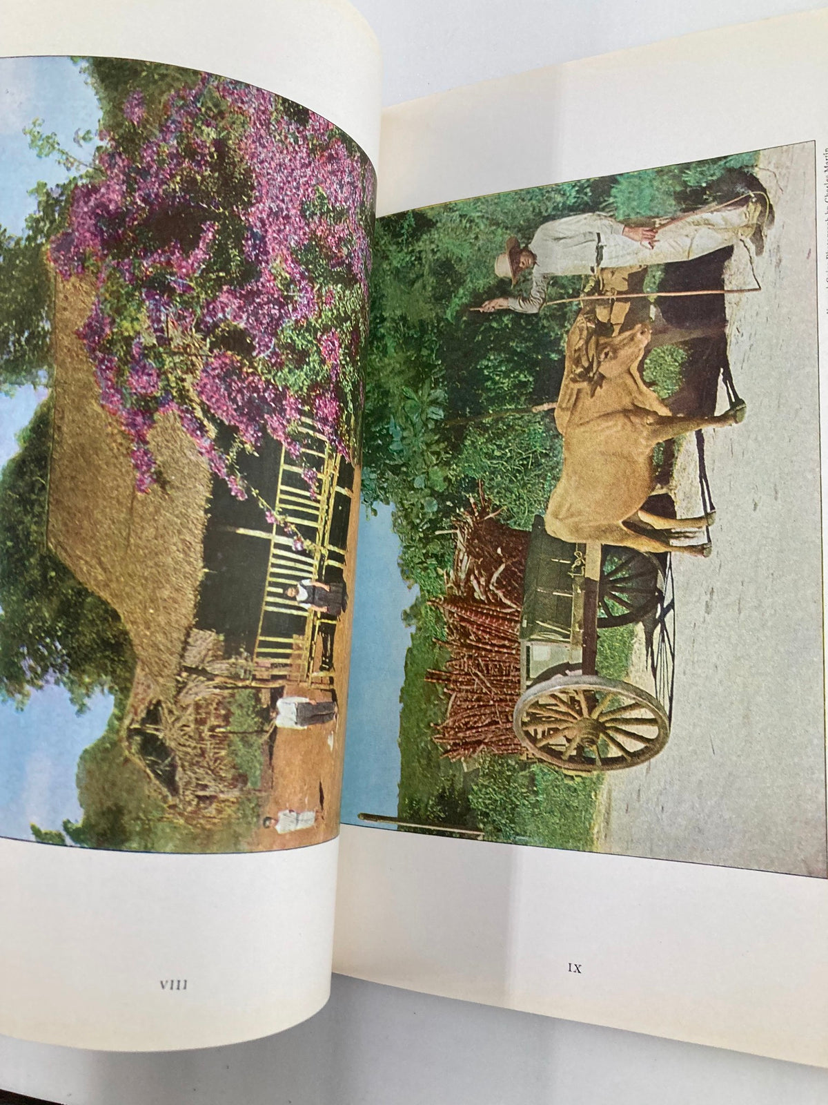 Image from VTG The National Geographic Magazine December 1924 illustrating a rural scene in Porto Rico with a cart and traditional architecture.