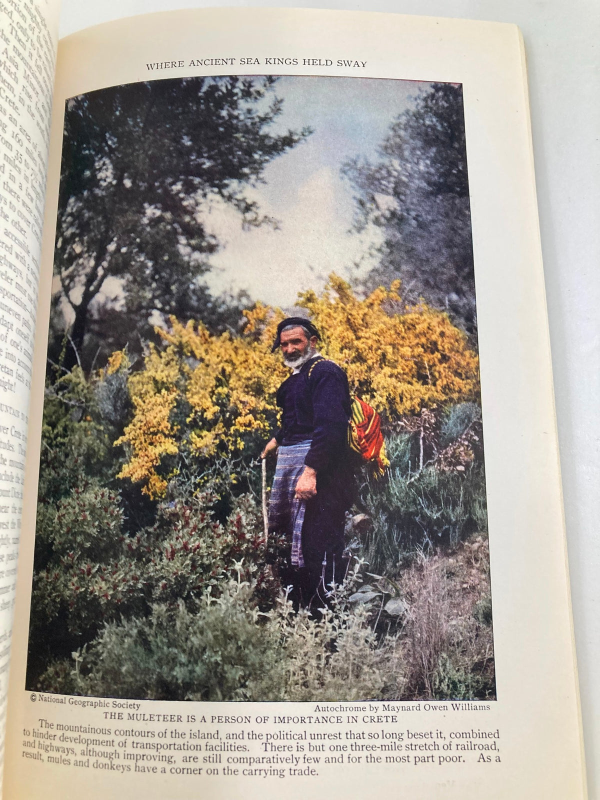 Vintage National Geographic Magazine February 1929 image of a melter in front of yellow flowers, highlighting the agricultural practices and cultural significance within the context of the Twin Stars of Chile.