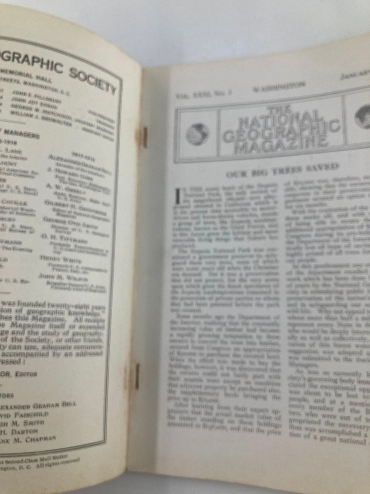 Inside page of VTG The National Geographic Magazine January 1917 showing articles including 'Our Big Trees Saved'.