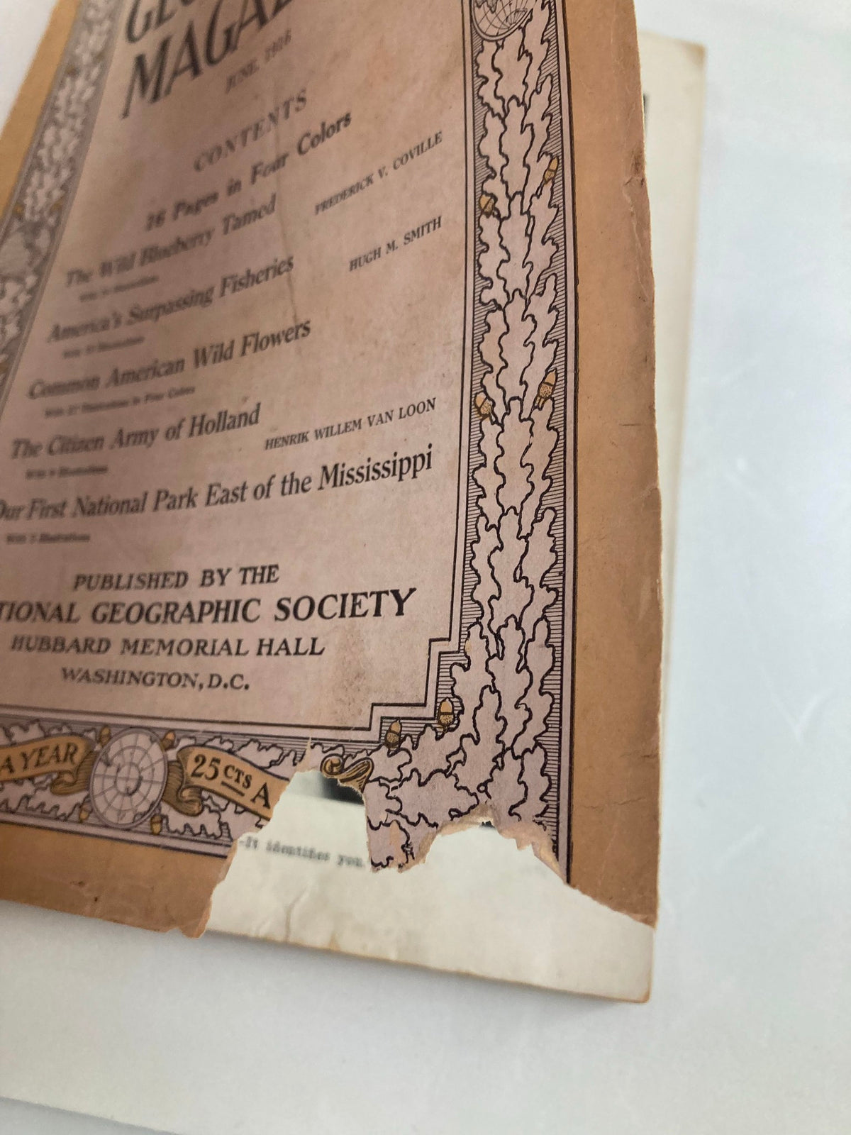 Torn edge of the cover of VTG The National Geographic Magazine June 1916, illustrating wear and historical character.