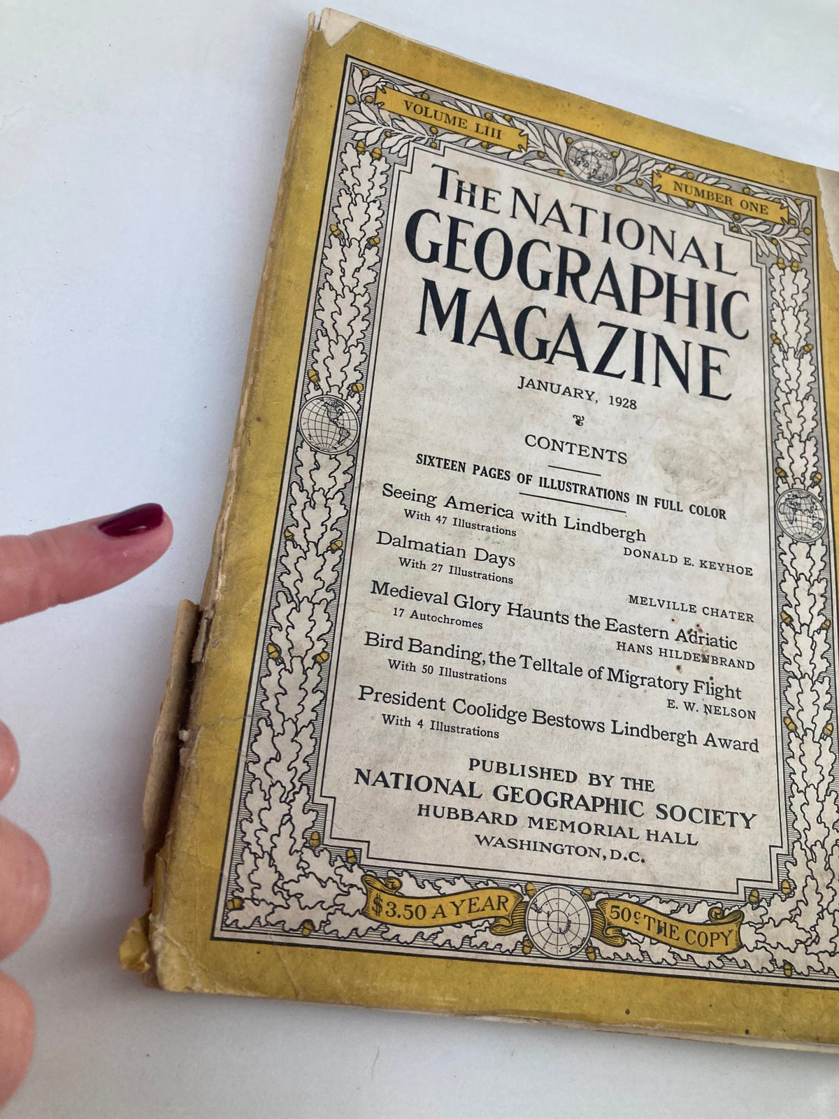 Close-up of vintage National Geographic Magazine cover from January 1928 showcasing bird banding, held with a finger to highlight details and wear on the binding.