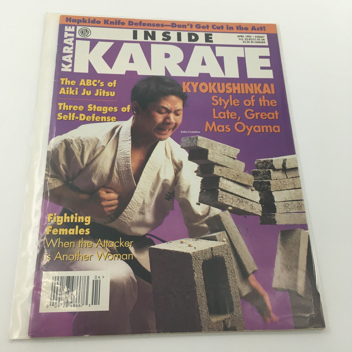 Cover of Inside Karate Magazine April 1995 featuring an article on Jiu Jitsu by John Gumboc, showcasing a martial artist preparing to break bricks.