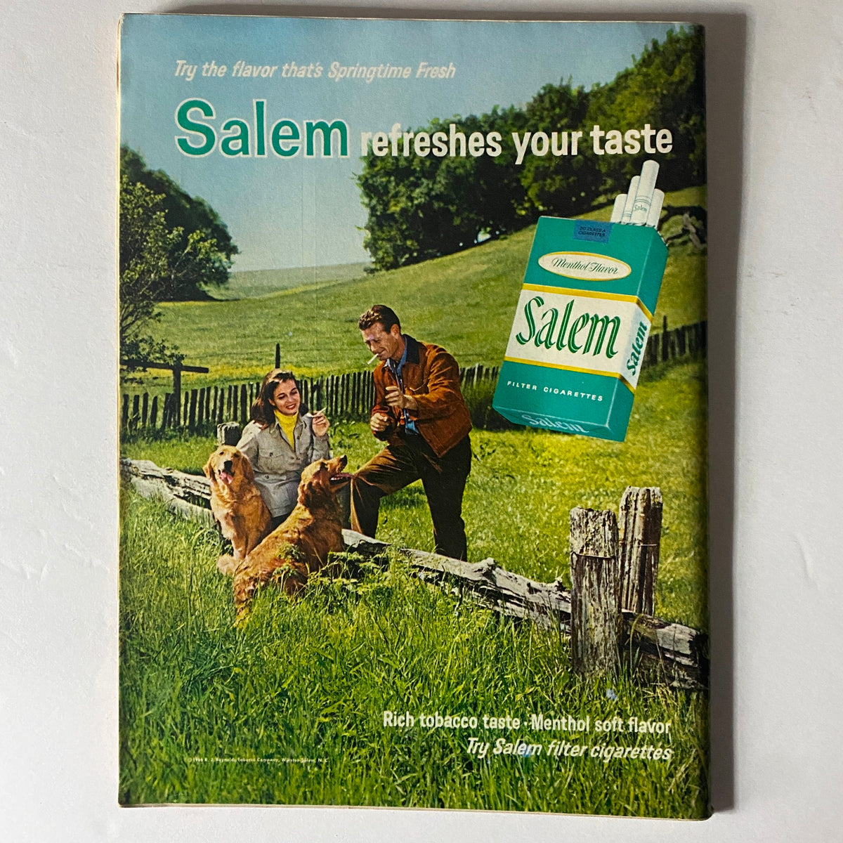 Vintage Salem Cigarettes advertisement featuring a couple outdoors with dogs, promoting the refreshing taste of Salem filter cigarettes.