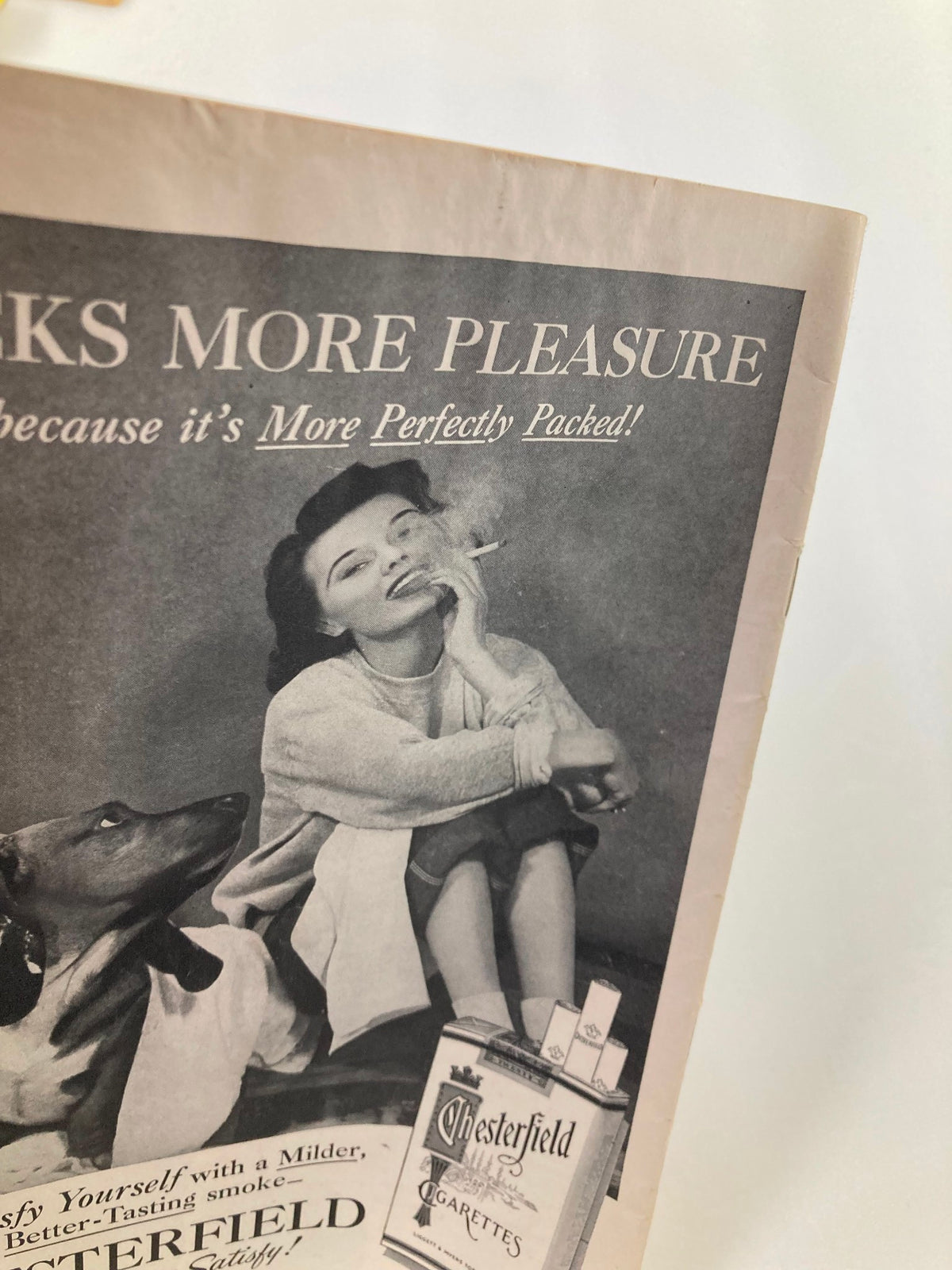 Vintage advertisement featuring a woman seated with a dog, promoting Chesterfield cigarettes, from the 1956 Playbill for The Plymouth Theatre showcasing Margaret Sullivan and Robert Preston in 'Janus'.