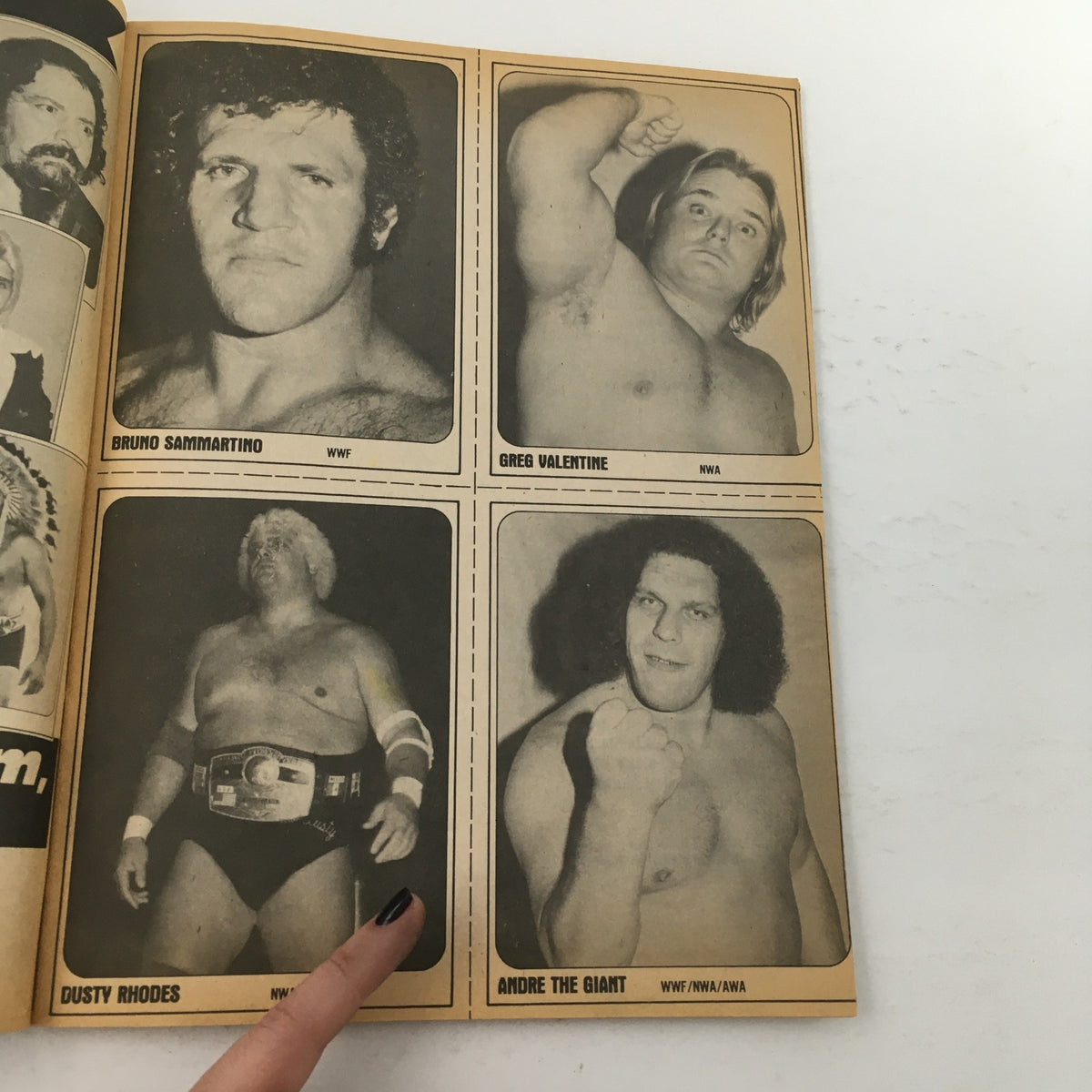 A collage of wrestling legends including Dusty Rhodes and André the Giant from Wrestling Superstars Magazine Summer 1981, showcasing famous wrestlers of the era.