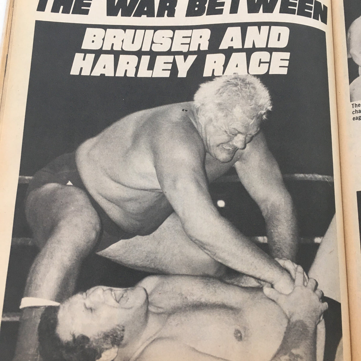 WWF Wrestler Magazine Fall 1981 featuring a dramatic wrestling match between Bruiser and Harley Race, showcasing the intense action in the ring.