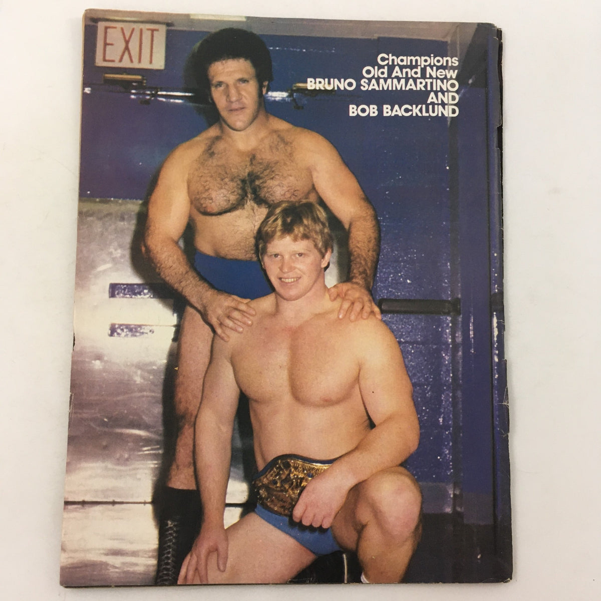 Image of Bruno Sammartino and Bob Backlund featured in Wrestling World Magazine 1982, representing legendary wrestlers in a historical context.