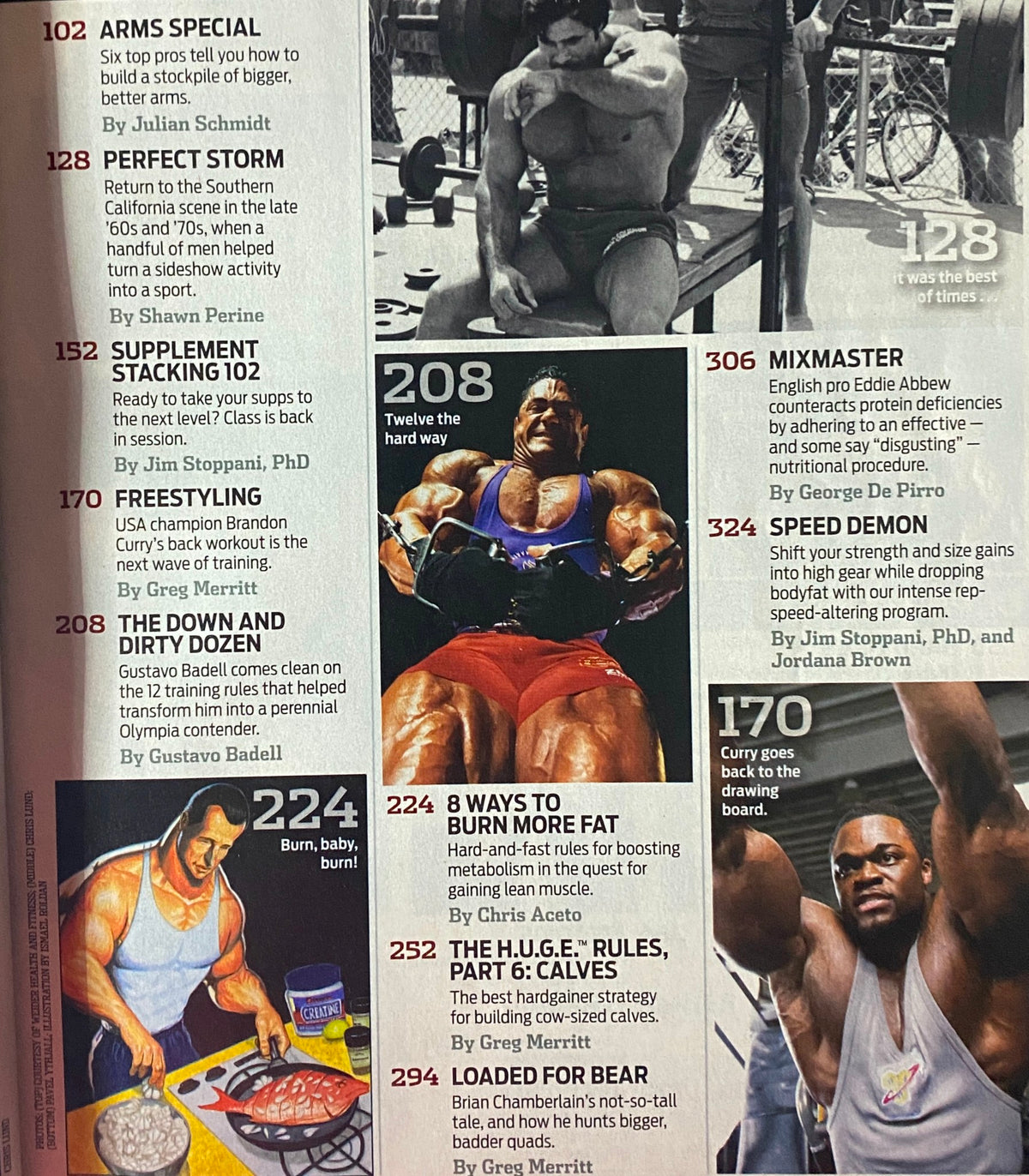 Interior page of Flex Magazine November 2008 highlighting various articles, including 'Arms Special' and 'Supplement Stacking', featuring insights from bodybuilding experts like Gustavo Badell.