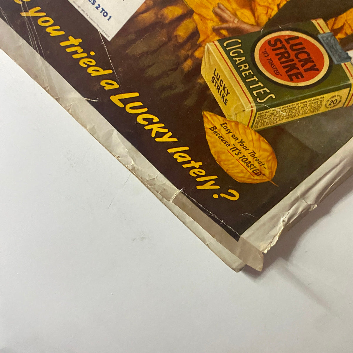 Better Homes & Gardens Magazine September 1939 Autumn-Crocus Magical No Label
