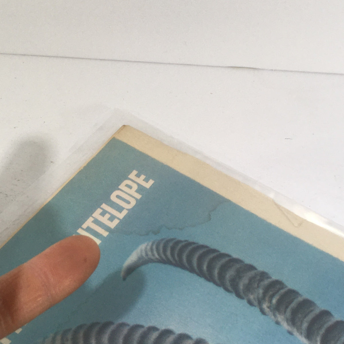 Detailed view of the top corner of the Vintage Life Magazine cover, showing Great African Antelope by John Dominis, December 5, 1969 issue.