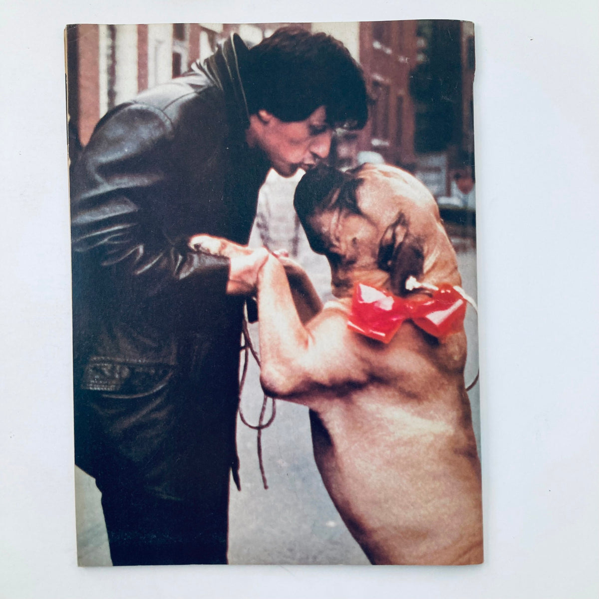 Cover page of the VTG Teen Favorites Magazine February 1978 featuring a scene of a man affectionately interacting with a large dog.