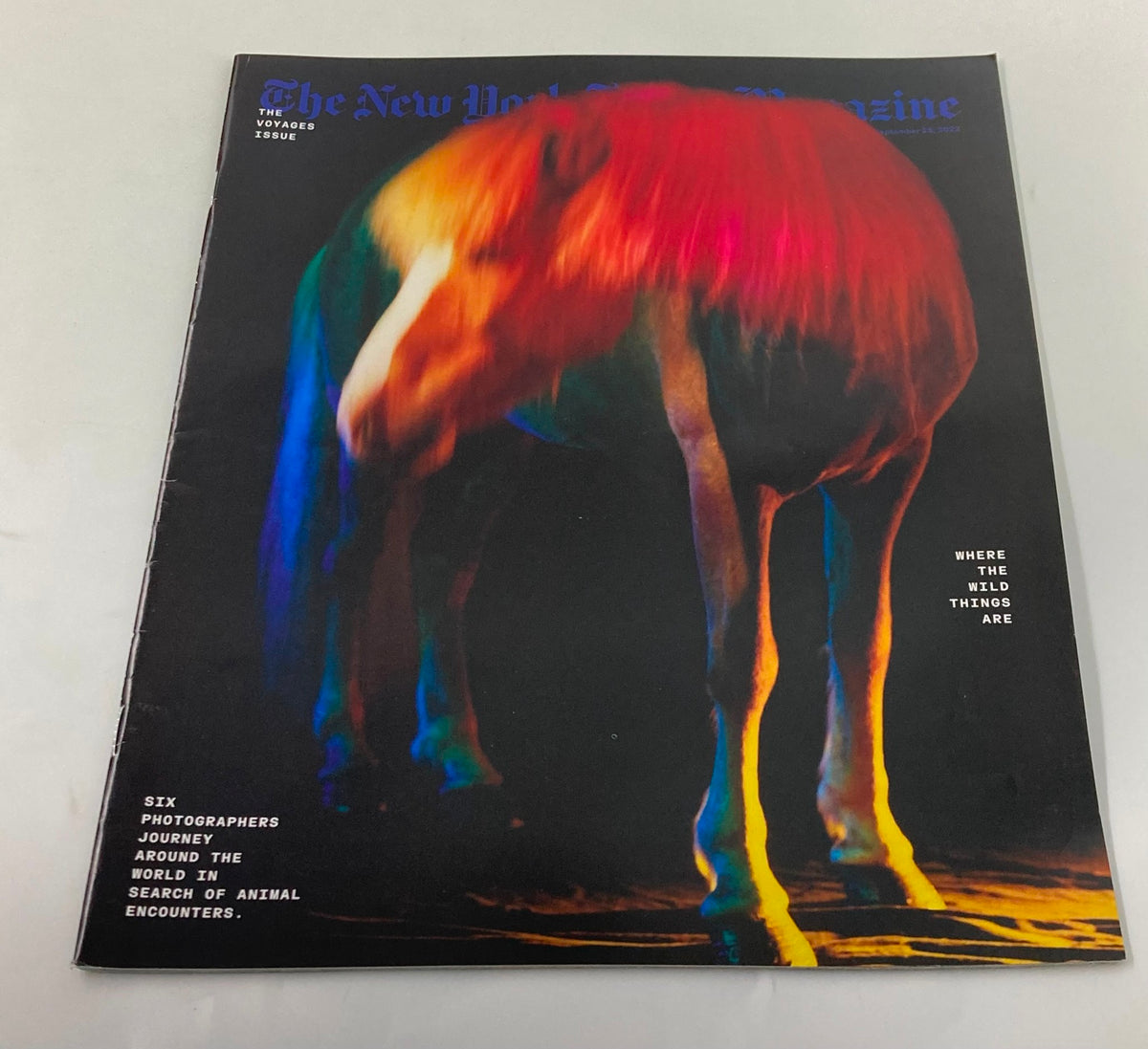 Cover of The New York Times Magazine September 25 2022 featuring vibrant colors of a horse silhouette and the title 'Animal Encounters', emphasizing the theme of human-animal relationships.