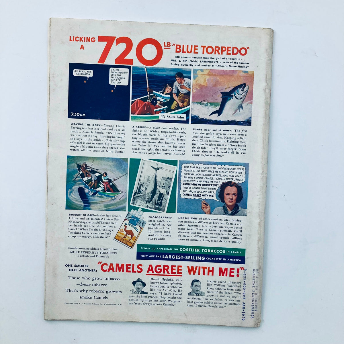 Back cover page of the VTG Time Magazine August 29 1938 featuring fishing scenes and a tobacco advertisement. The cover prominently displays 'Licking a 720 lb Blue Torpedo' and includes illustrations of fishing activities and an advertisement for Camels.