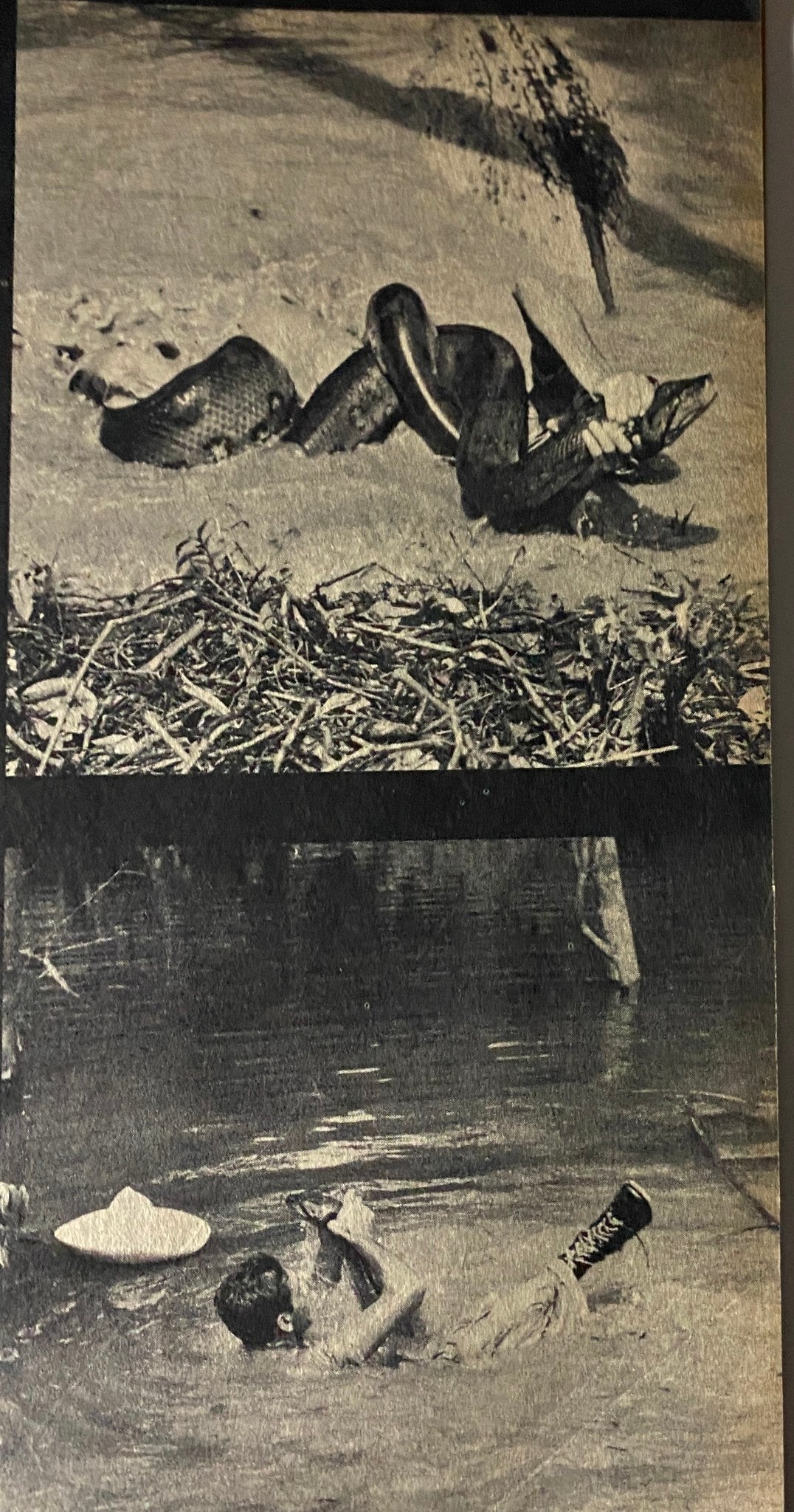 A striking black and white photograph from Best for Men Magazine December 1963 depicting a snake intertwined in a natural setting, illustrating adventure-themed content.