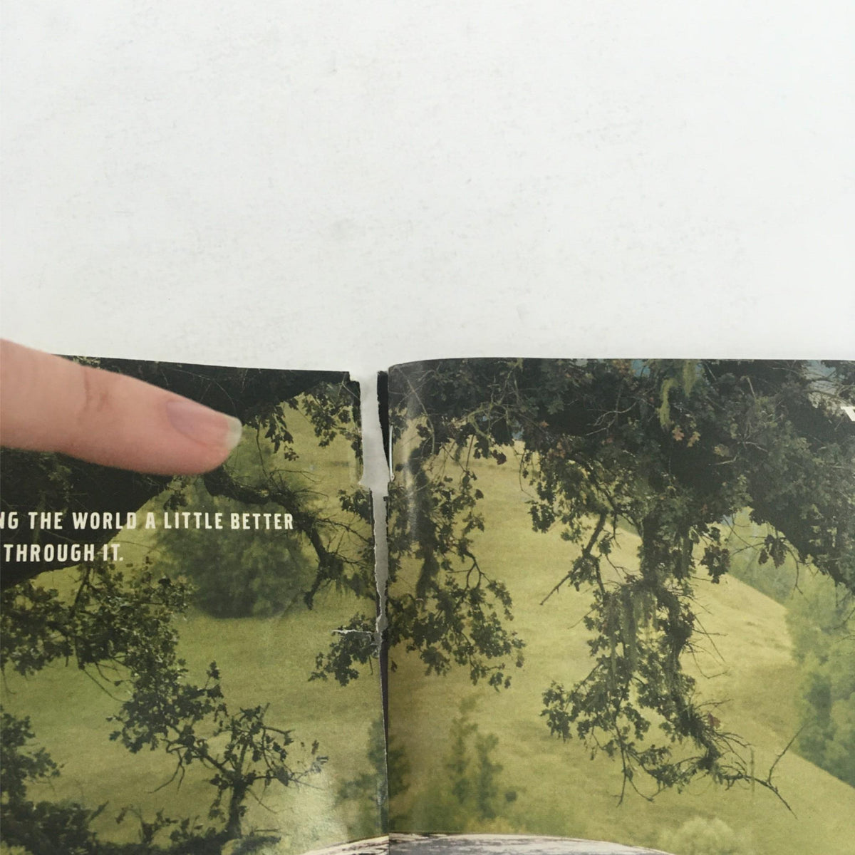Image depicting damage to the 2000 Playbill for 'Tiny Alice,' showing a torn spine edge, illustrating its vintage condition.