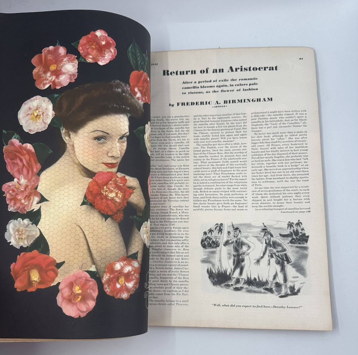 Article page from Esquire Magazine October 1942 titled 'Return of an Aristocrat' with a floral illustration and a narrative on beauty and history.