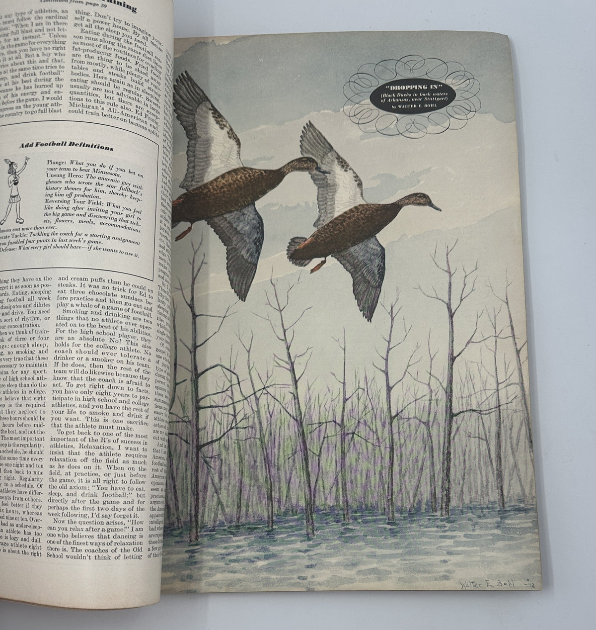 Illustration from Esquire Magazine October 1942 titled 'Esquire Magazine October 1942 Varga Marjorie Woodworth Leydenfrost w Pinup'. The image features two flying ducks over a serene water landscape surrounded by bare trees, depicting a peaceful natural scene.