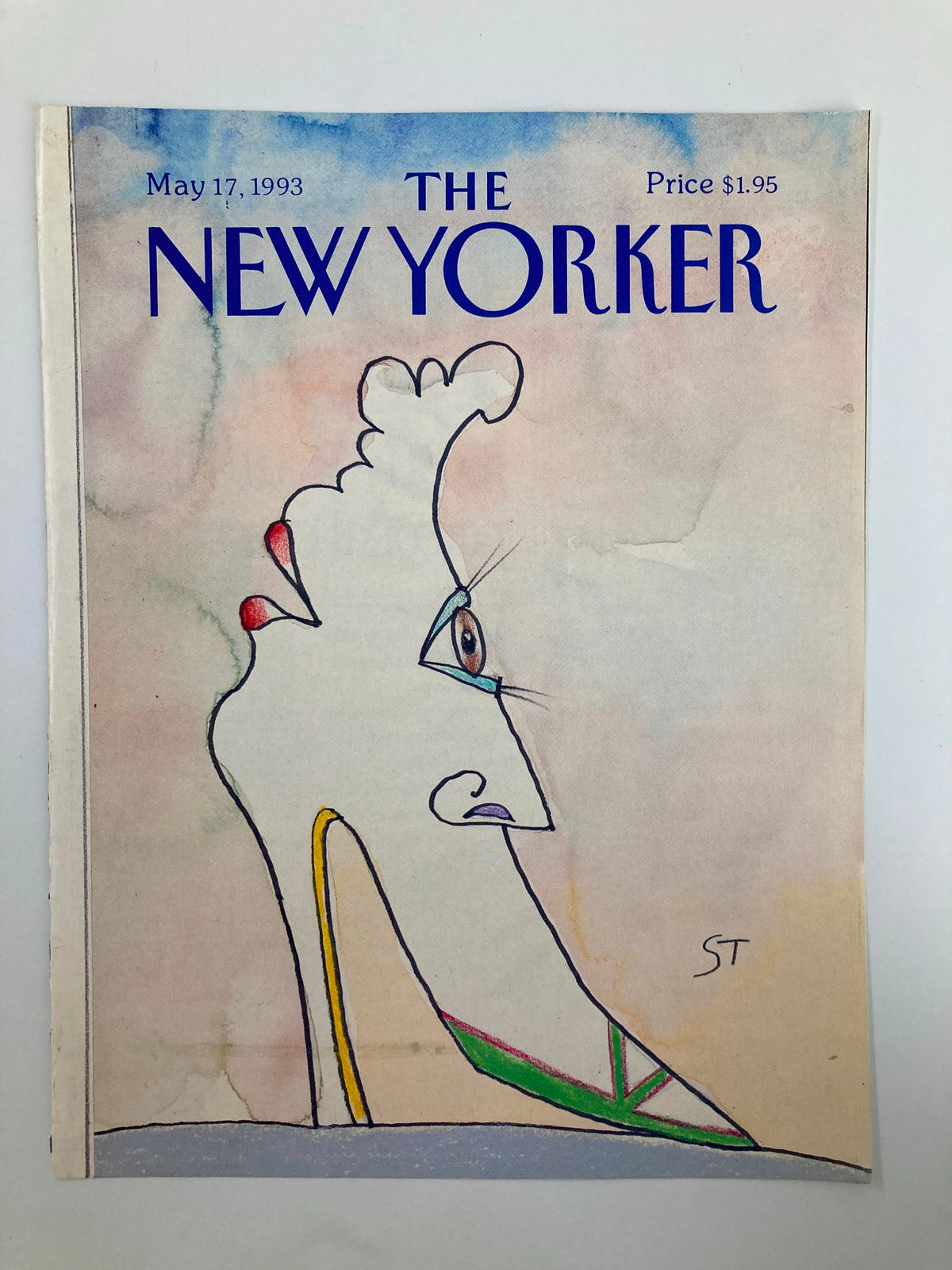 Front cover image of The New Yorker from May 17, 1993, displaying 'The Shoe' by Saul Steinberg, characterized by vibrant colors and a unique artistic style.