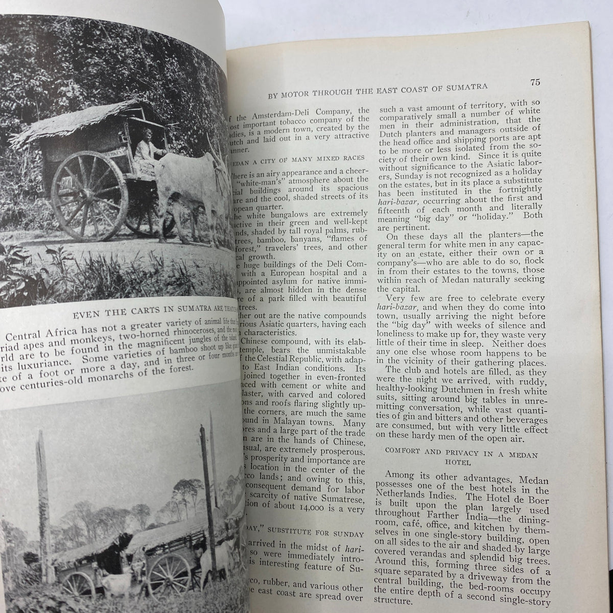 Interior page of VTG National Geographic Magazine January 1920 showing an article titled 'By Motor Through the East Coast of Sumatra' with a photograph of a cart pulled by oxen.