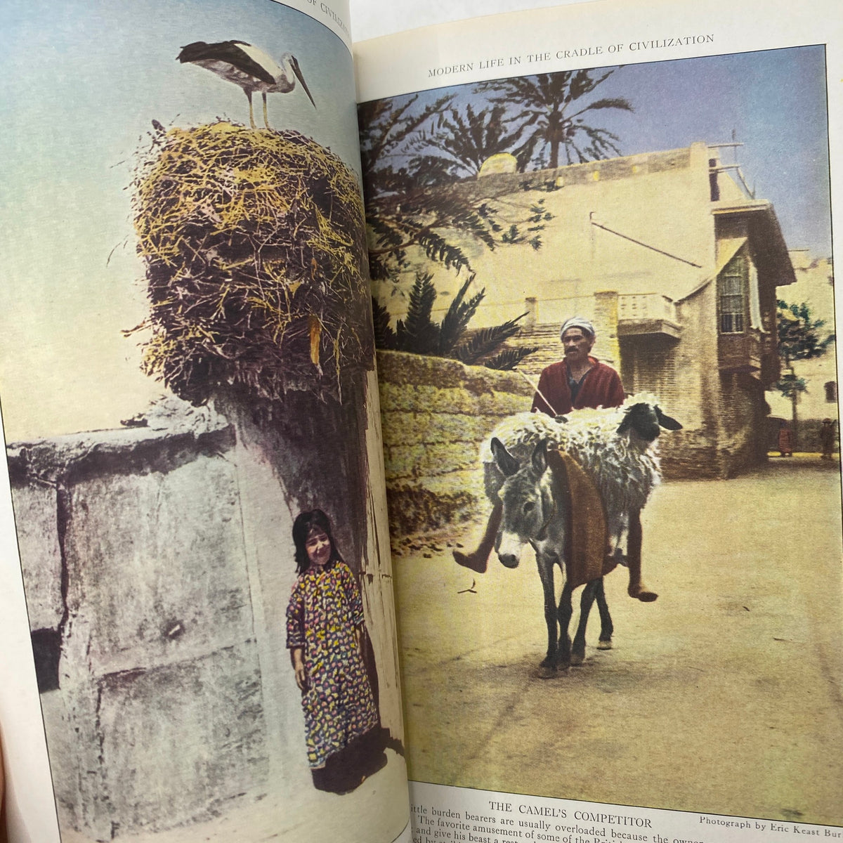 Interior page of National Geographic Magazine April 1922 showcasing a vibrant photograph of modern life in the cradle of civilization with a child and a donkey.