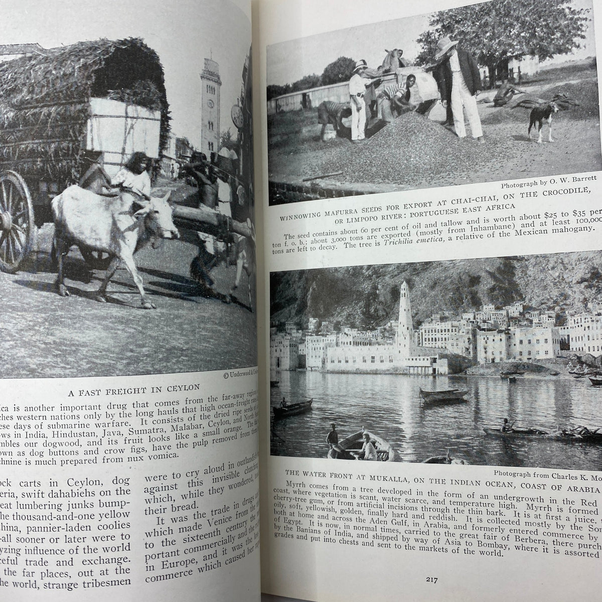 An image from National Geographic Magazine September 1917 showcasing photographs that depict the transportation of materials in Ceylon and the coastal view at Muralla, illustrating the intersection of geography and medicine.