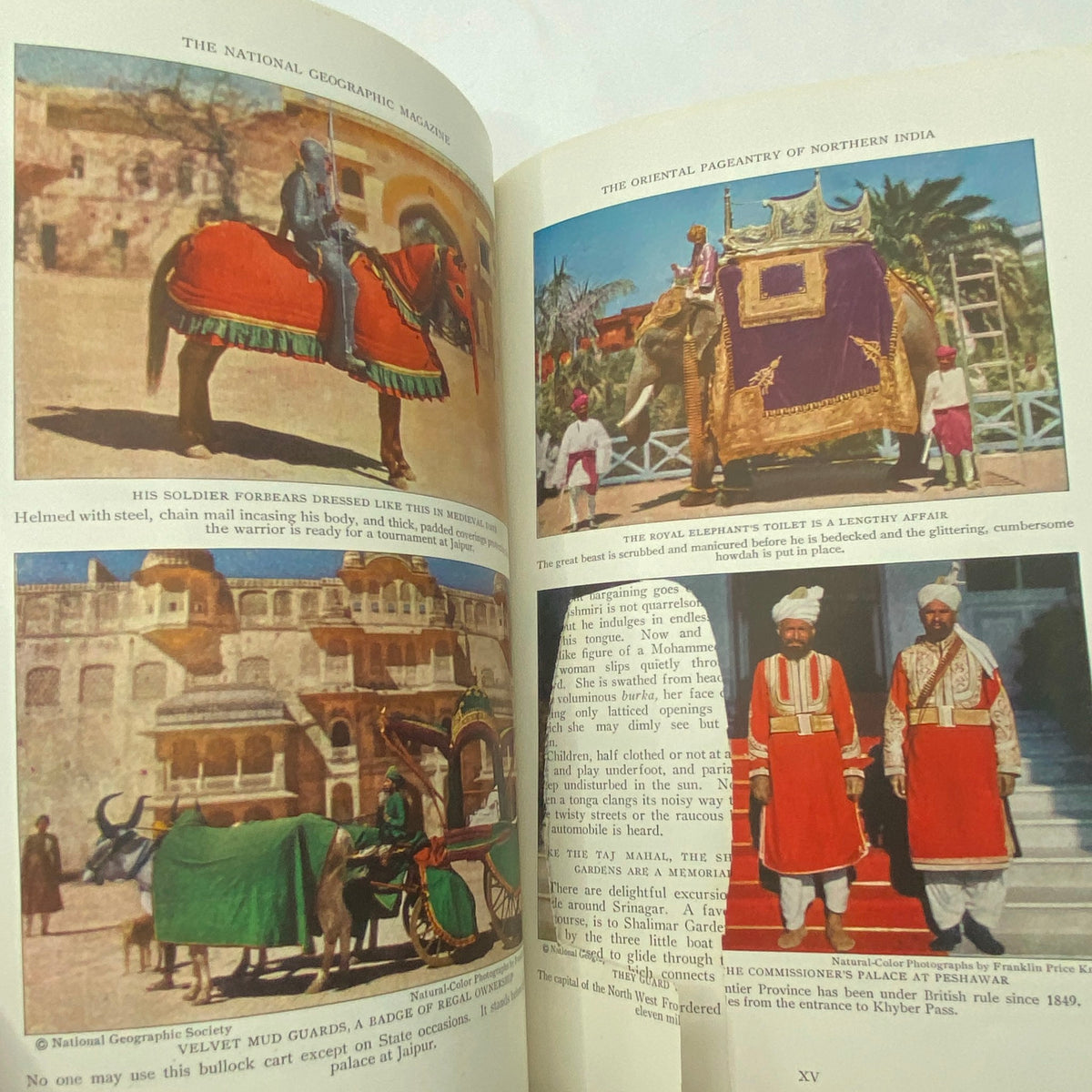 National Geographic Magazine October 1929, featuring vibrant images of colorful elephants and decorated horses representing the oriental pageantry of Northern India.