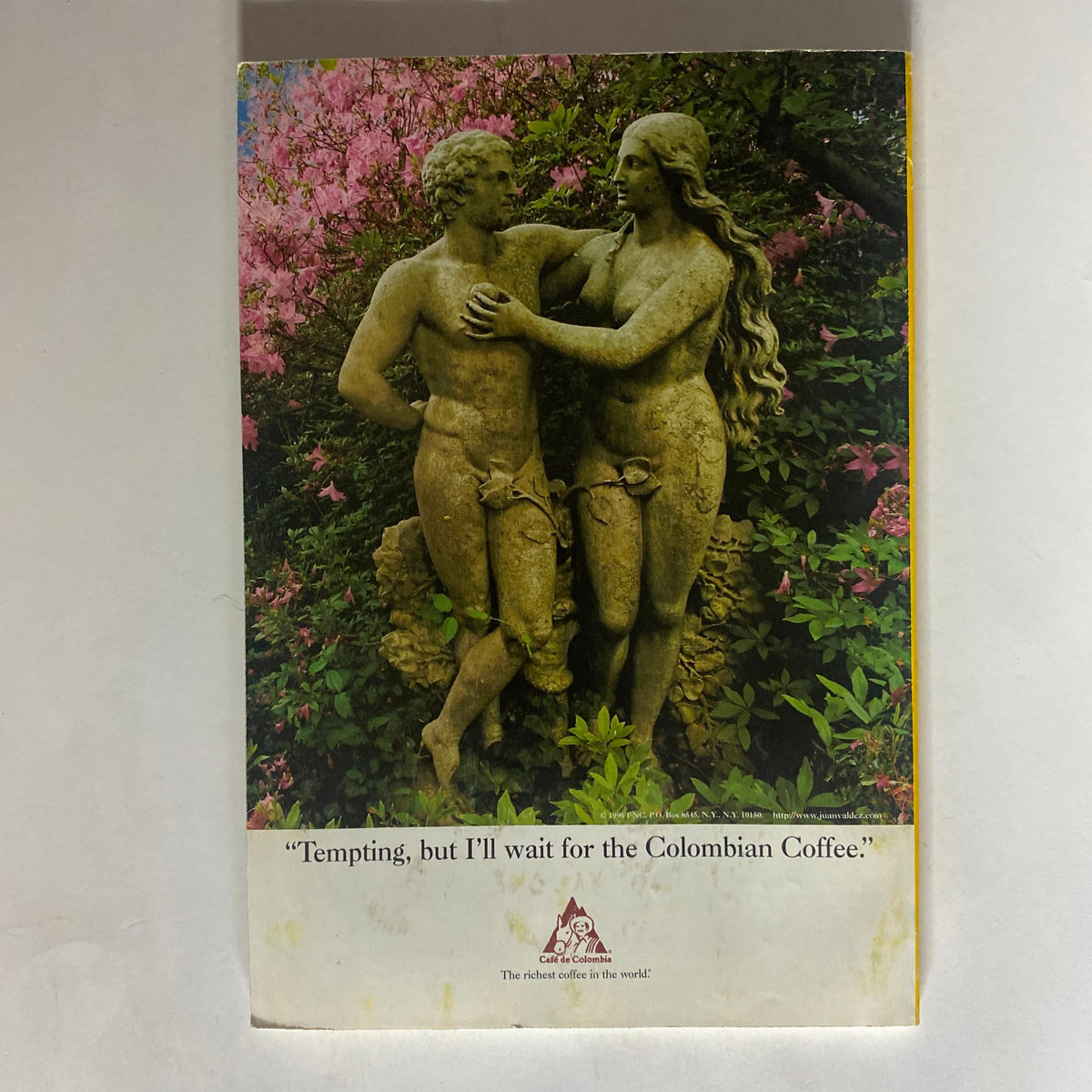 National Geographic Magazine January 1998 Making Sense of the Millennium cover image showcasing a stone sculpture of a man and woman amidst blooming flowers, conveying themes of cultural richness and history.