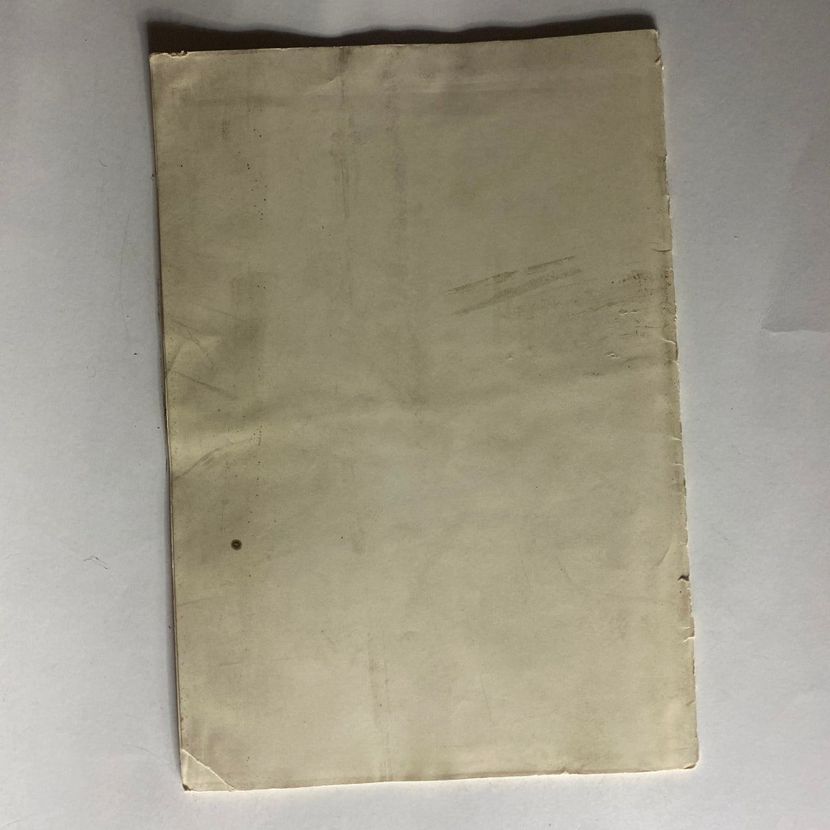Back cover of National Geographic Magazine, January-June 1924, Volume XLV, featuring a plain design with some marks that add character to this vintage publication.