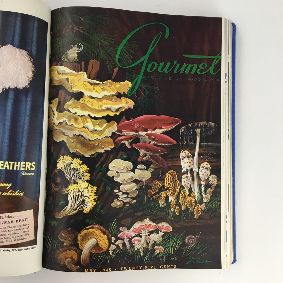 Gourmet: The Magazine of Good Living, May 1945 edition featuring vibrant illustrations of various mushrooms and nature.