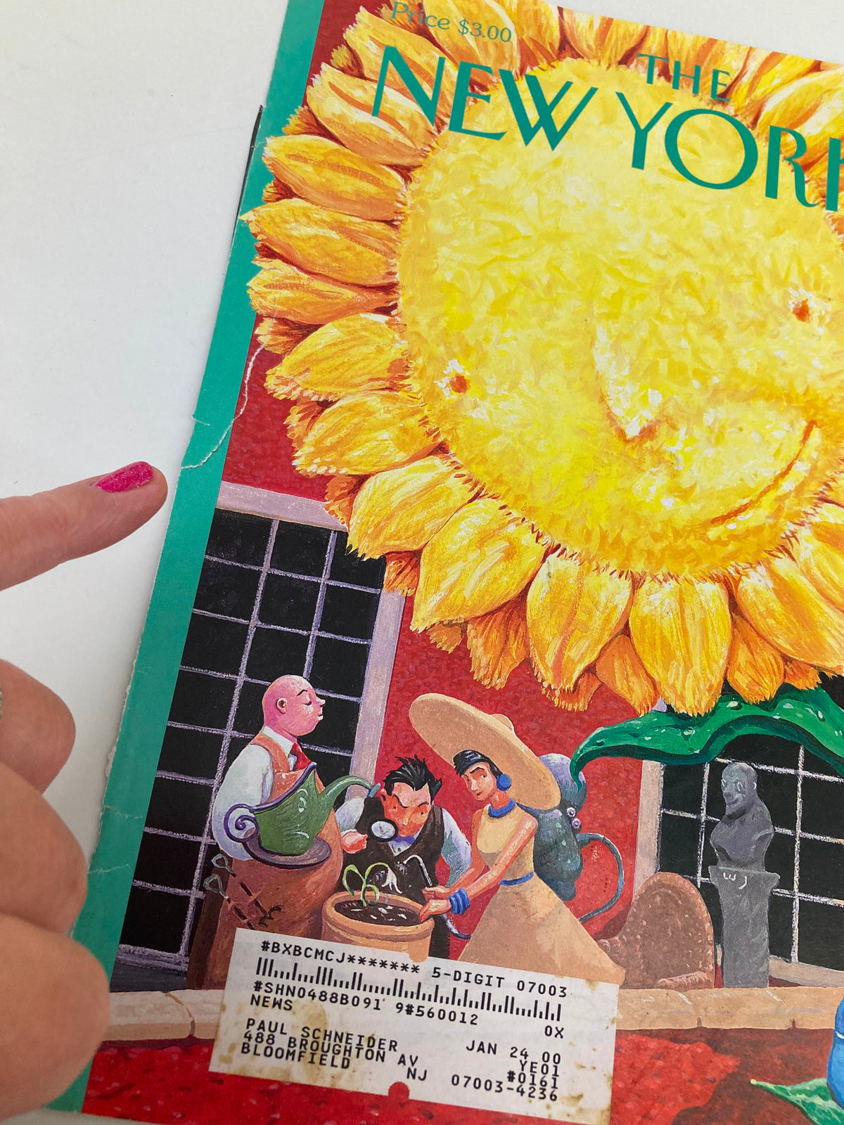 Close-up of The New Yorker cover from May 17, 1999, titled 'Reap What You Sew' by William Joyce, highlighting details of the sunflower and characters engaging in gardening activities.