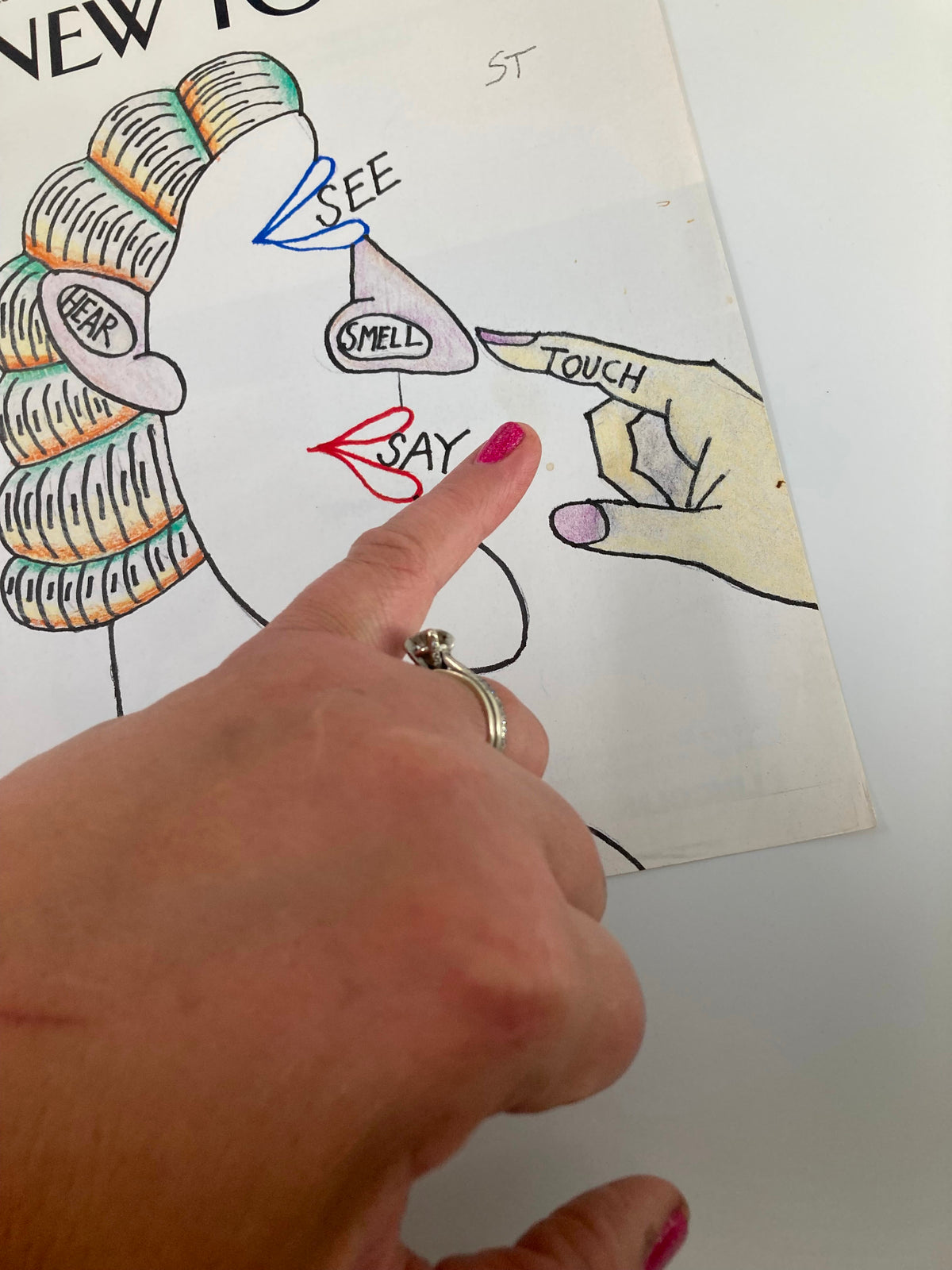 Close-up of The New Yorker cover from March 9, 1998, titled 'The Five Senses' by Saul Steinberg, with a hand pointing to the word 'Touch' on the artwork.