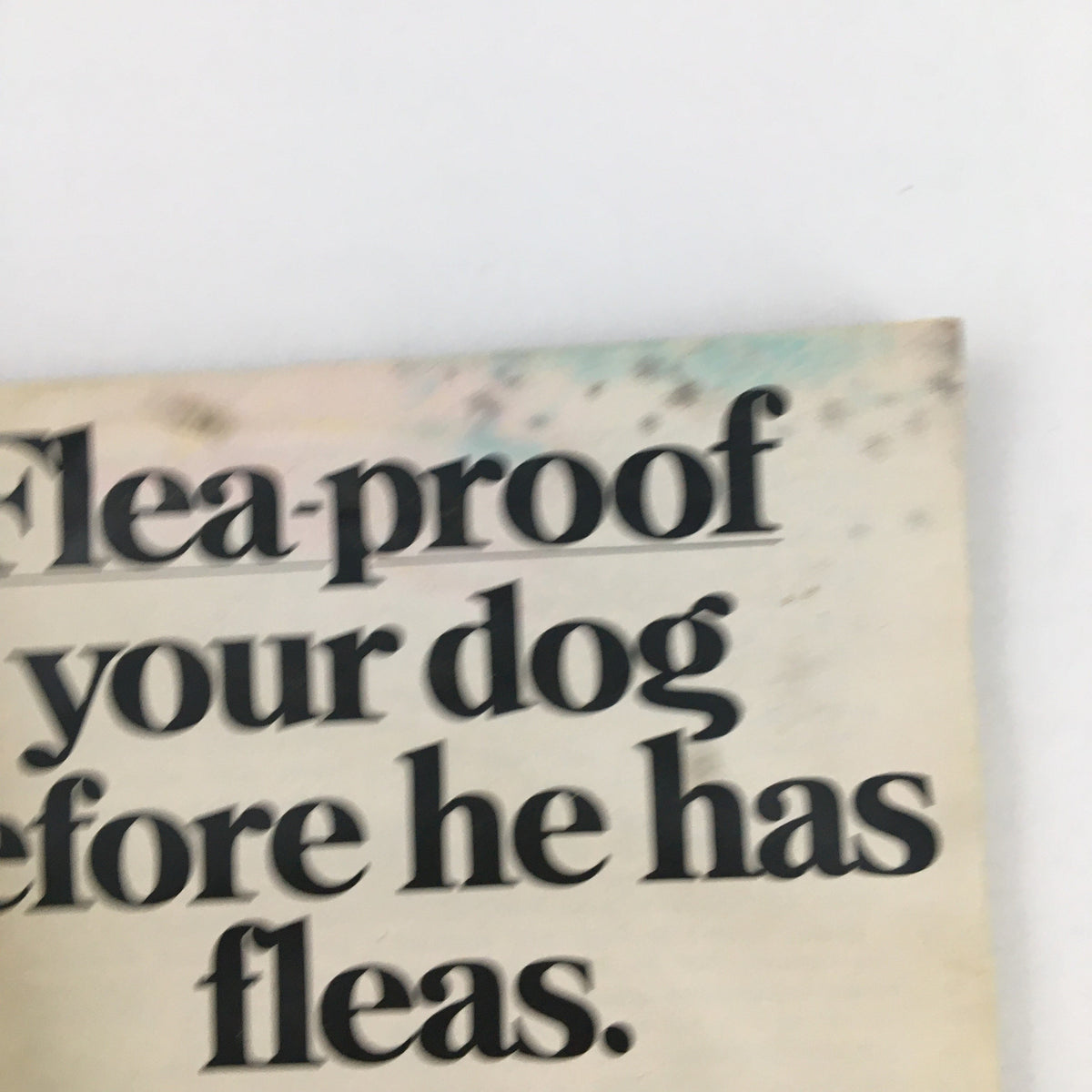 Text excerpt from TV Guide Magazine June 22, 1968 discussing how to flea-proof your dog, emphasizing pet care in the 1960s.