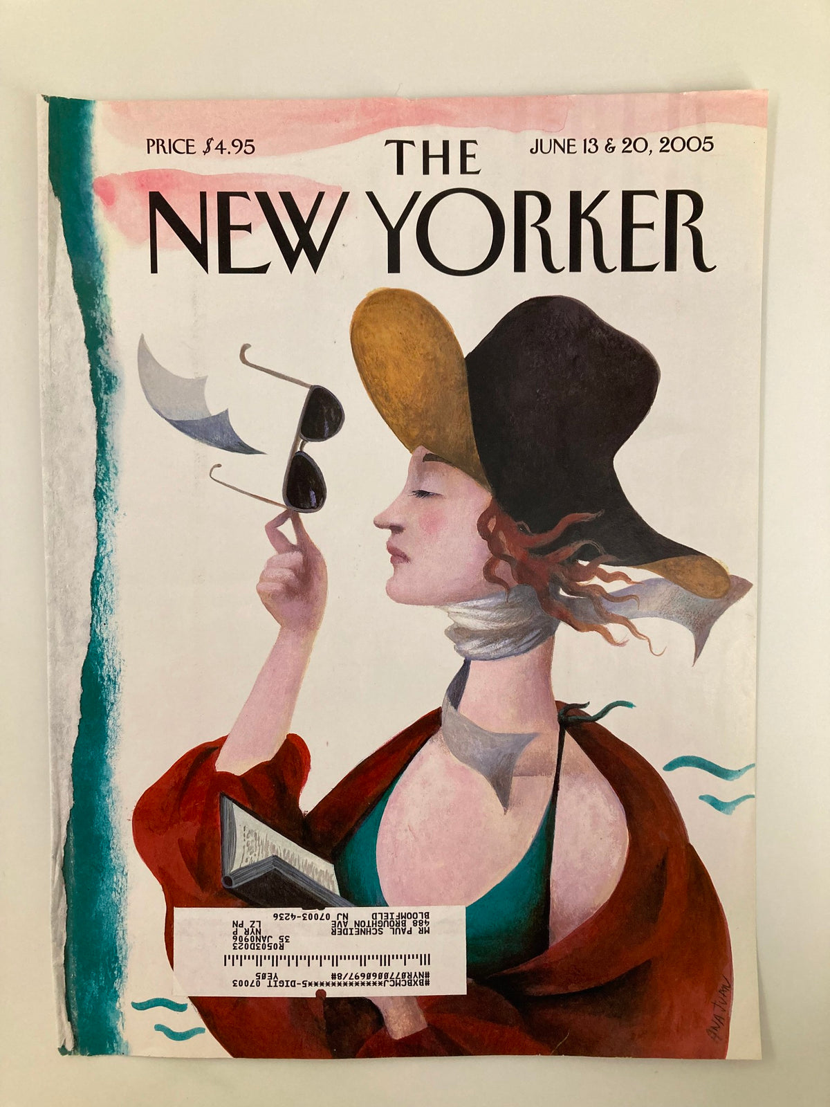 Cover art of The New Yorker June 13, 2005, titled 'Debut on the Beach' by Ana Juan, featuring a woman with sunglasses and a hat, illustrated in a vibrant seaside scene.