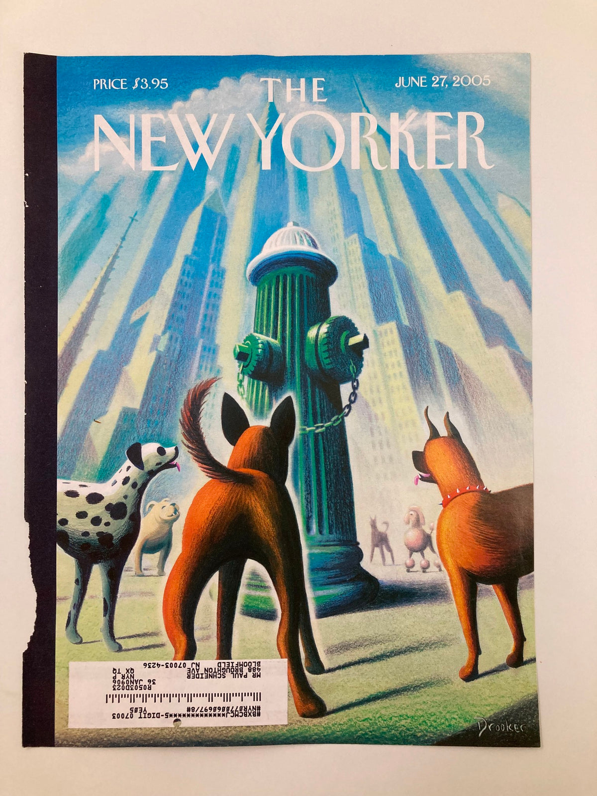The New Yorker June 27 2005 cover showcasing Eric Drooker's illustration of dogs looking at a fire hydrant amidst a vibrant urban background.