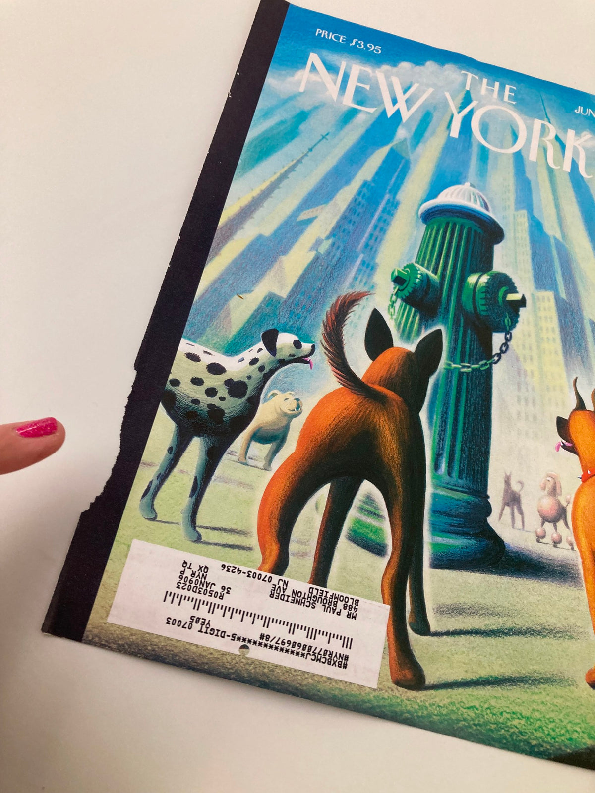 The New Yorker June 27 2005 cover art by Eric Drooker, featuring a dog and a spotted dog observing a fire hydrant in a stylized city environment.