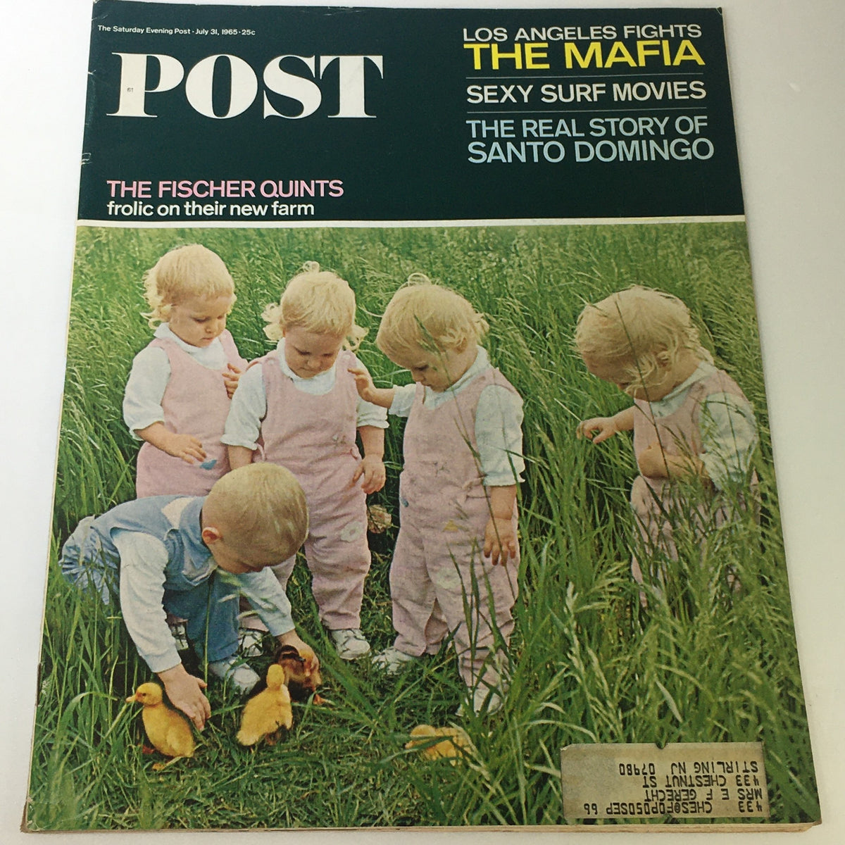Vintage July 31, 1965, The Saturday Evening Post featuring the Fischer Quintuplets on a farm, showcasing the quintuplets playing with ducklings in a grassy field.