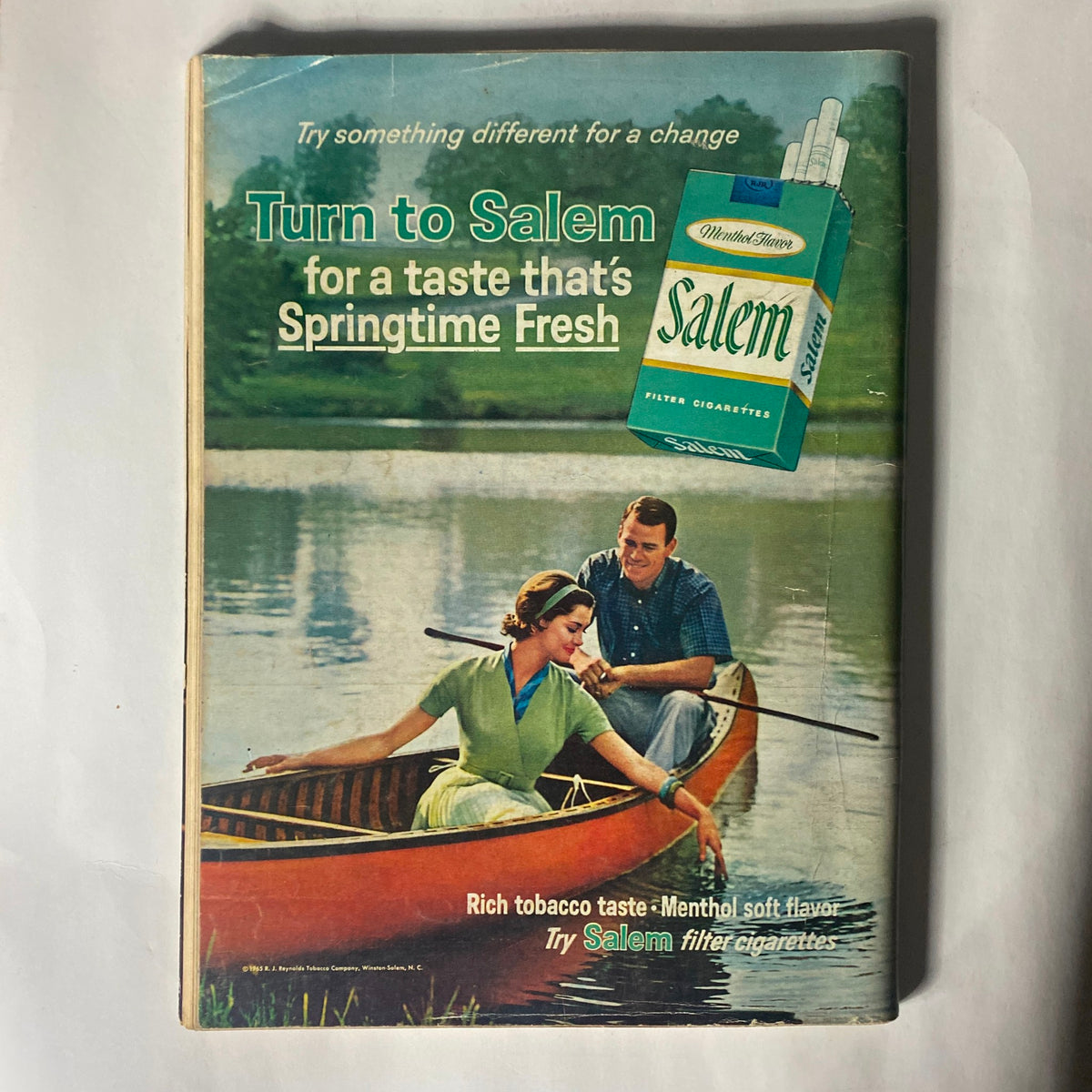 Back cover of VTG Playboy Magazine February 1966 featuring a vintage advertisement for Salem cigarettes, depicting a couple enjoying a canoe ride.