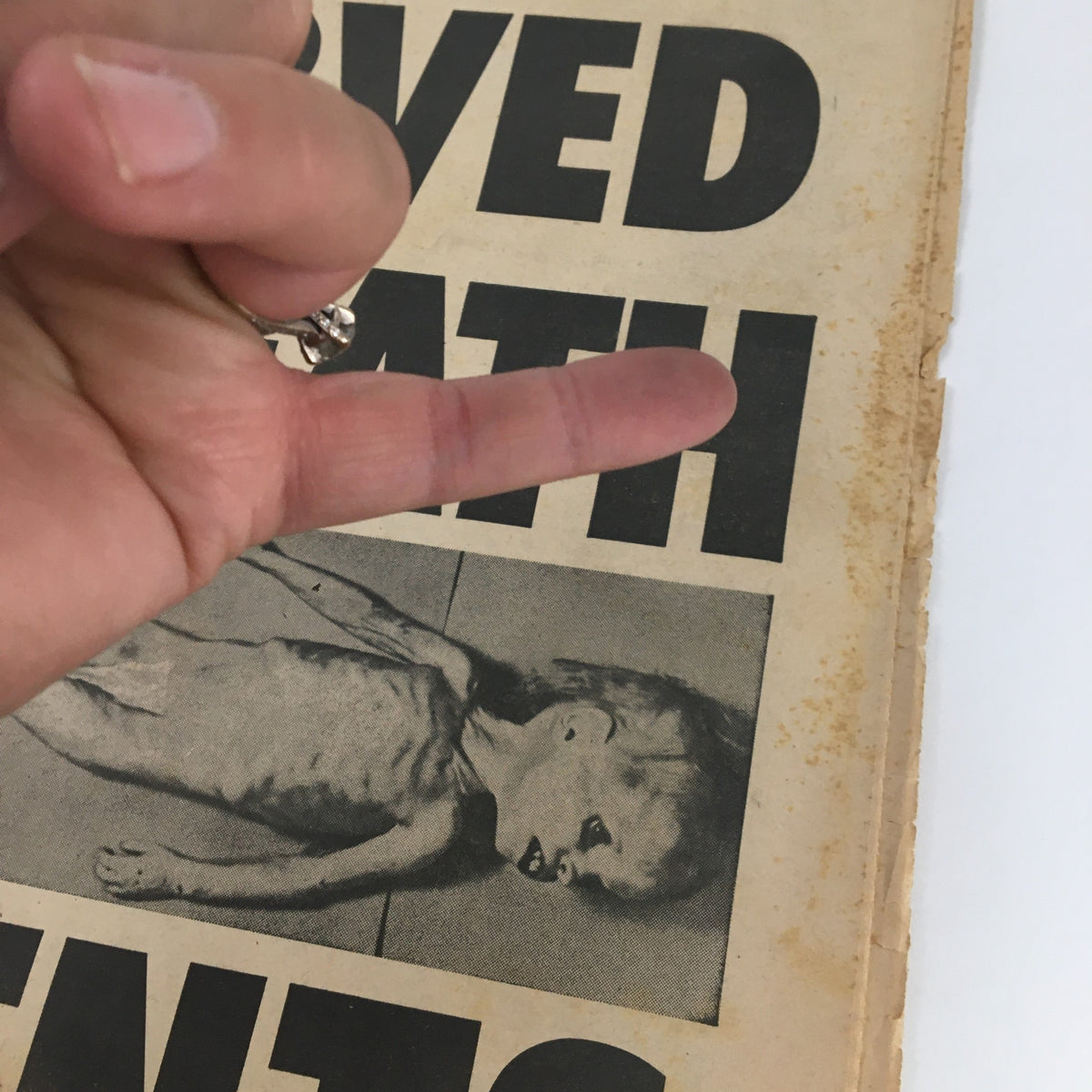 Close-up of the National Enquirer Newspaper February 20, 1966, highlighting the stark image of the victim along with the dramatic headline 'Starved to Death by Parents', reflecting the emotional impact of the tragic story.