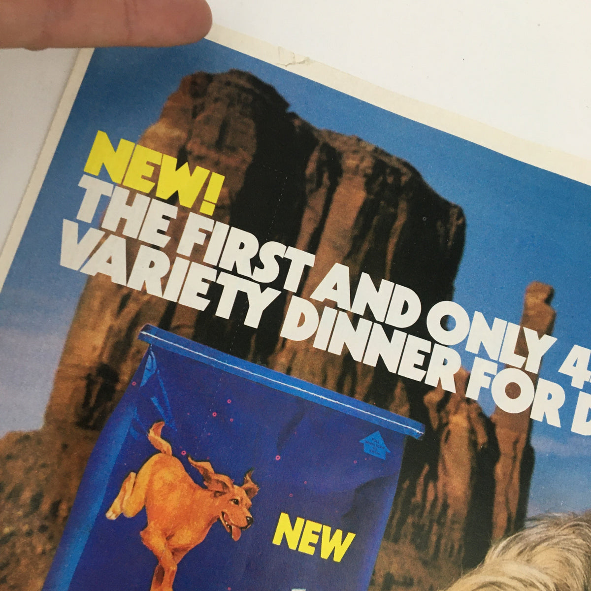 Close-up of the Come 'N Get It Dog Food Circular Advertisement highlighting its unique offering of a 4-flavor variety for dogs with a scenic background.