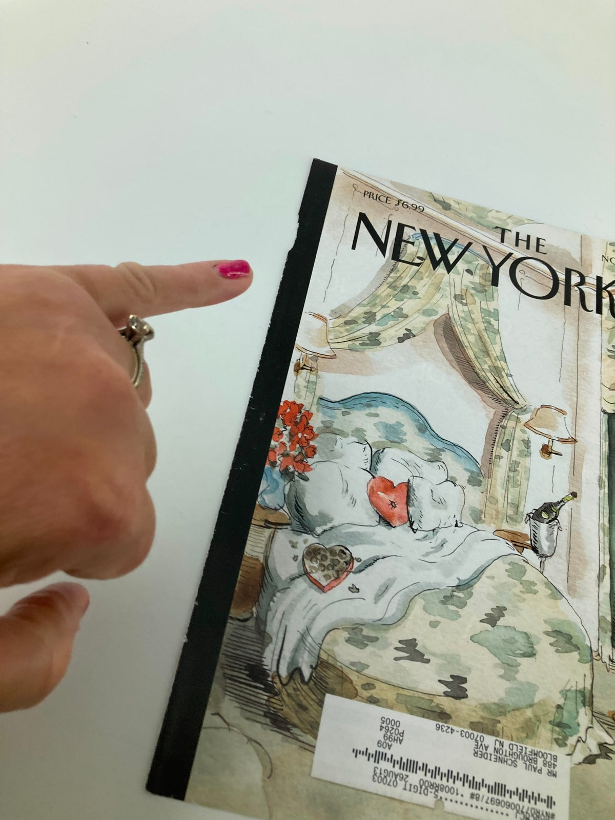 Cover of The New Yorker dated November 26, 2012, titled 'The Camouflage' by Barry Blitt, featuring a cozy bedroom scene with decorative elements and a heart motif.