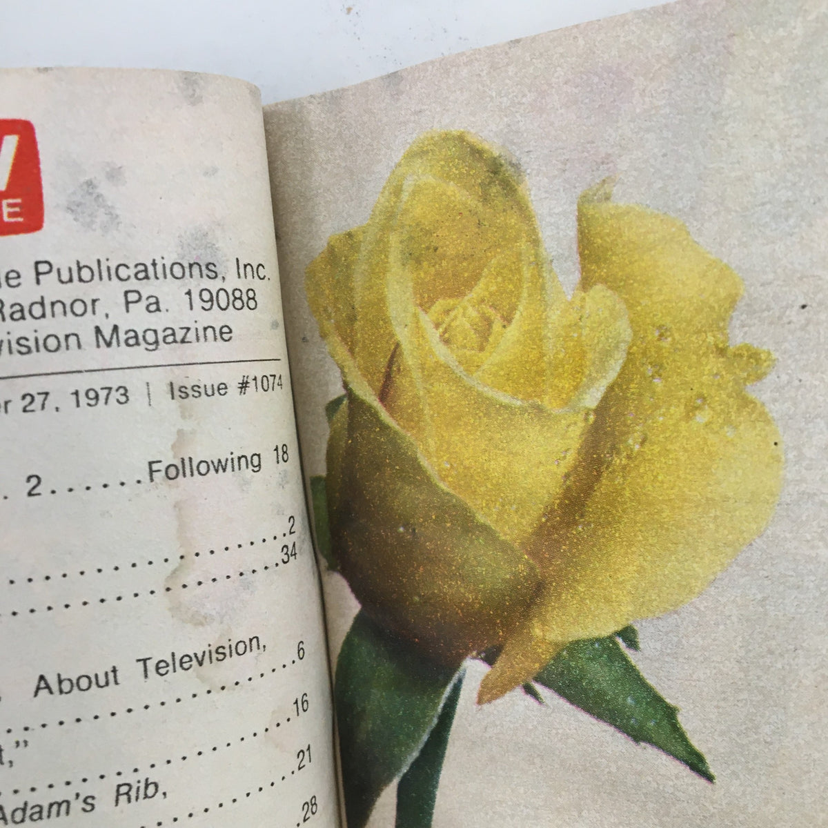 Close-up of a yellow rose featured in the TV Guide Magazine October 27 1973, showcasing the vintage aesthetic of the publication.