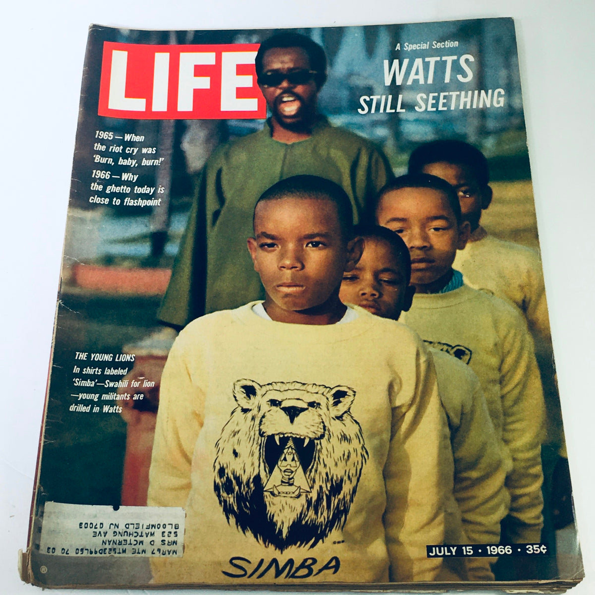 Cover of VTG Life Magazine July 15, 1966 featuring 'The Young Lions' issue with children wearing shirts labeled 'Simba' in front of a historical context backdrop.