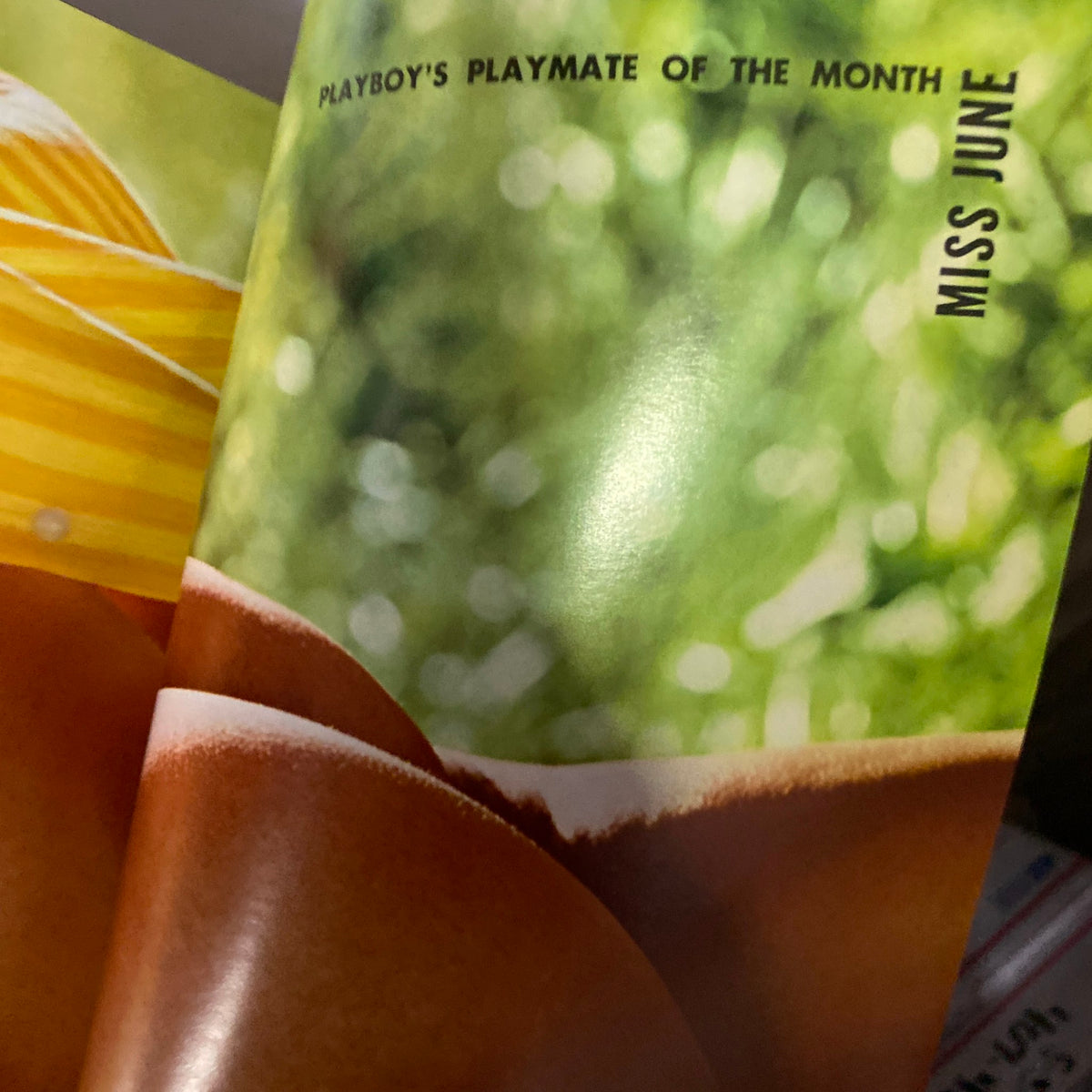 Inside spread of Vintage Playboy Magazine June 1968 showcasing the Playmate of the Month, Britt Fredriksen, amidst a vibrant green background.