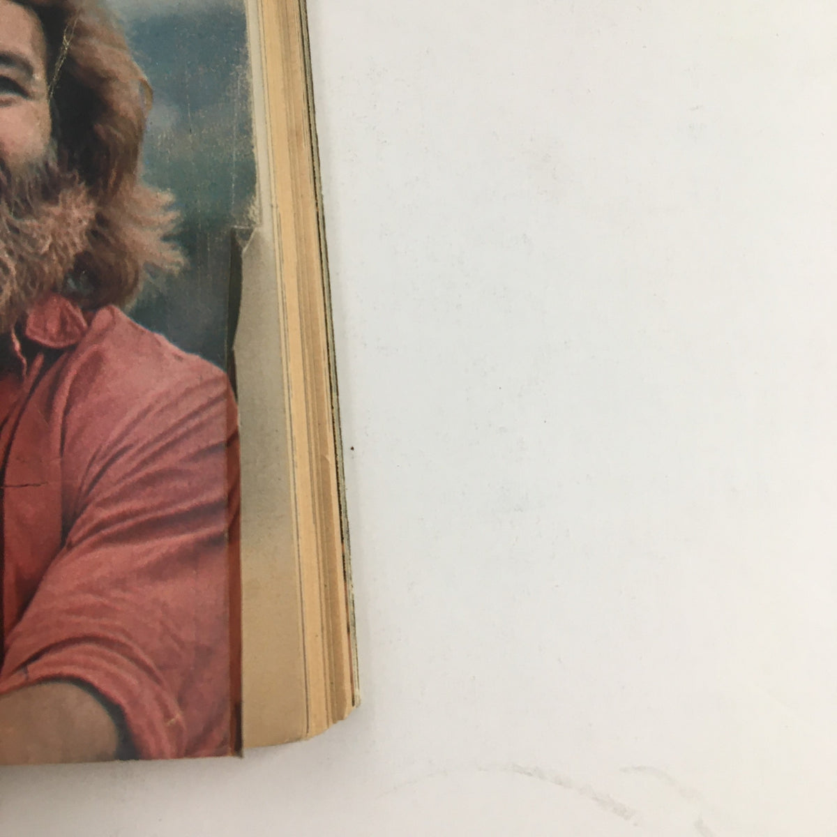 Profile view of Dan Haggerty on the cover of TV Guide Magazine June 11 1977, emphasizing his iconic beard and smile.