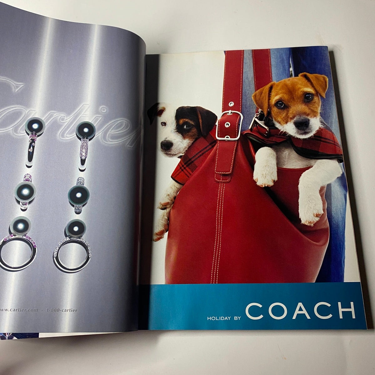 Cartier advertisement featuring two puppies in a red handbag, depicted in Vogue Magazine December 2001 Gisele Bündchen Cover.
