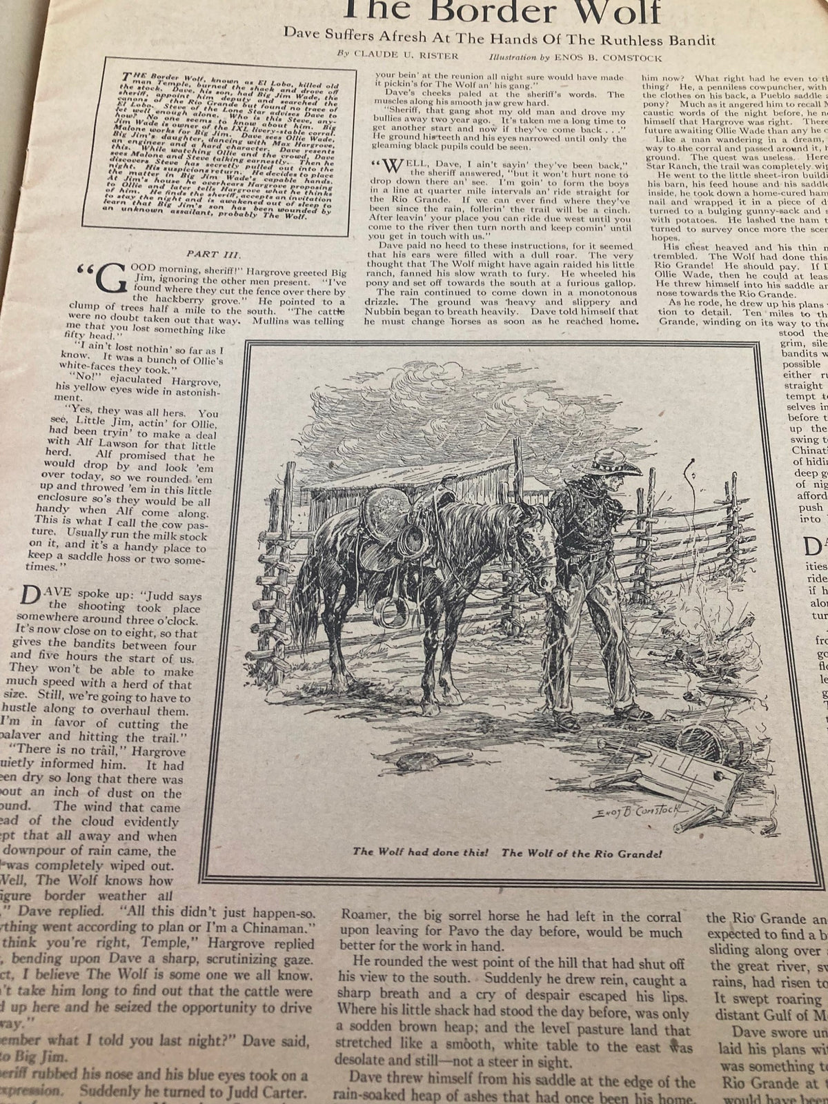 Interior page of VTG The Farmer's Wife Magazine November 1924 featuring the story 'The Border Wolf' with illustrations and text depicting rural life and adventure.