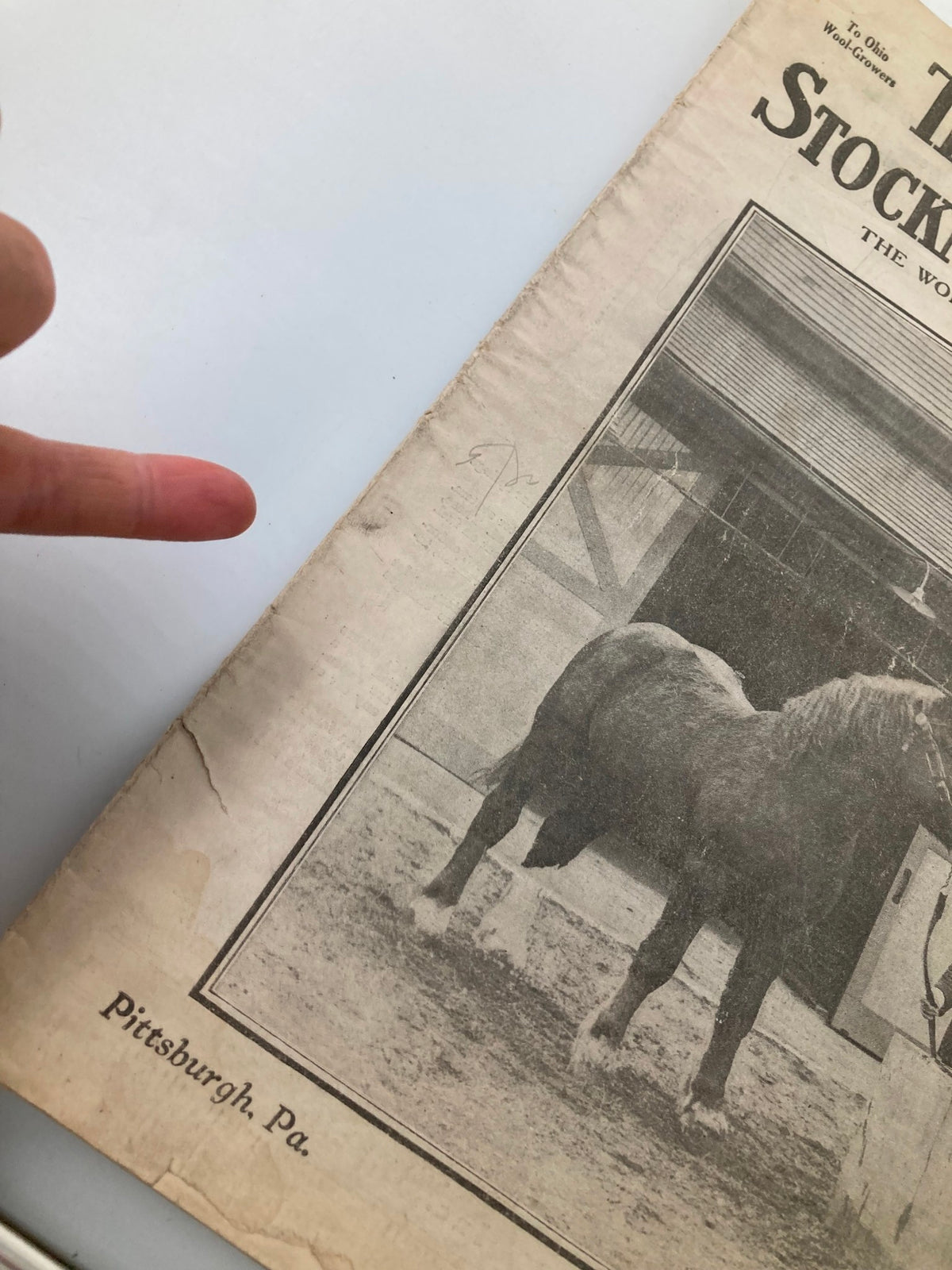 Close-up of the VTG The National Stockman and Farmer magazine cover showing a horse and finger pointing at the title.
