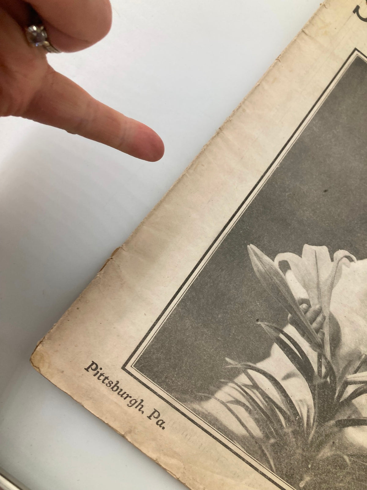 Side view of the cover of VTG The National Stockman and Farmer April 19, 1919, highlighting the publication's place details with 'Pittsburgh, Pa.' printed on the edge.